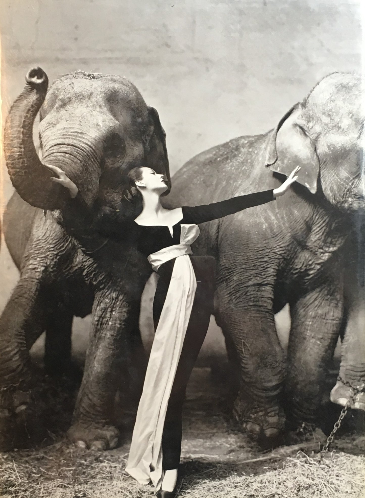 ザ・ファッション 1947-1977 アベドン写真集 AVEDON PHOTOGRAPHS 1947-1977 日本語版