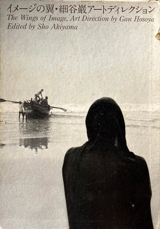 イメージの翼1・2 全2冊 細谷巌