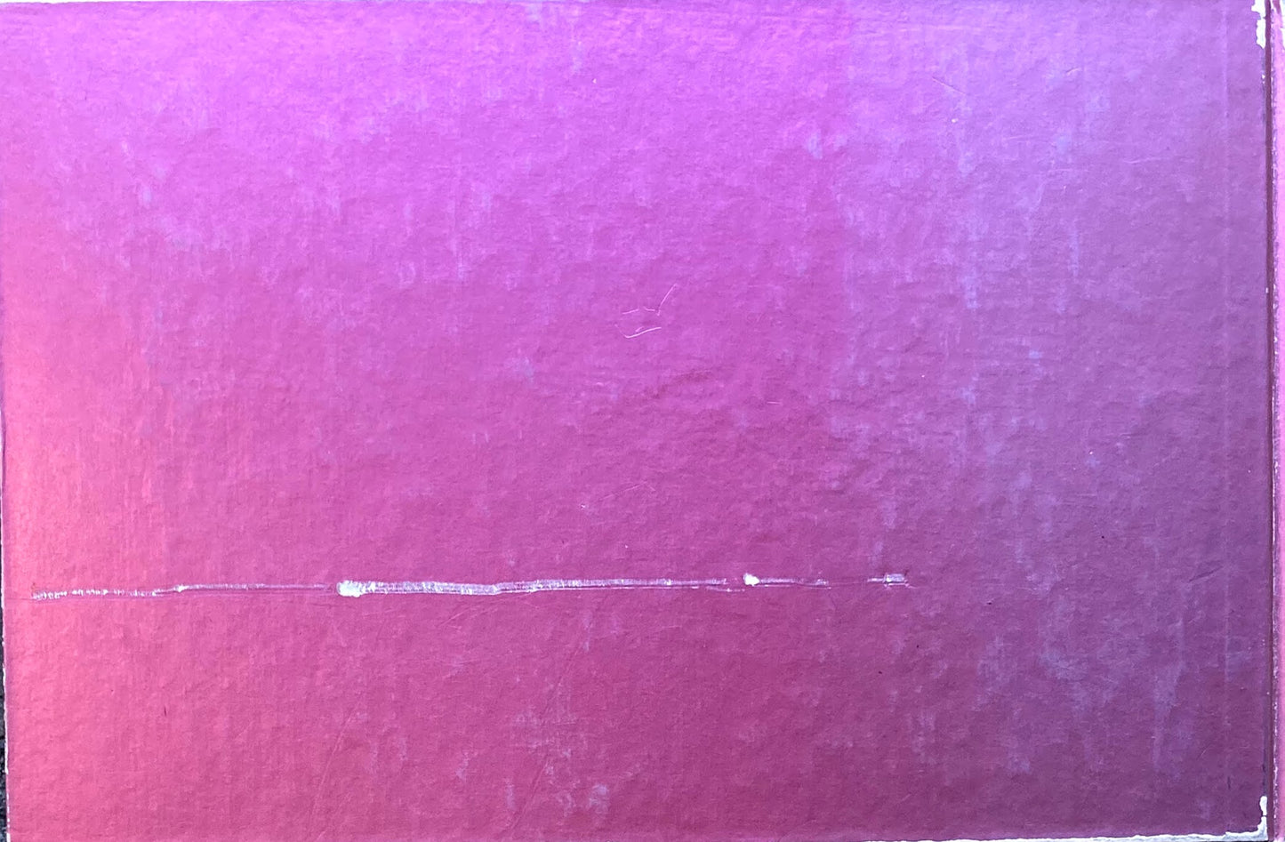 MIXED FRUIT 池田満寿夫 署名入 南天子画廊 1976