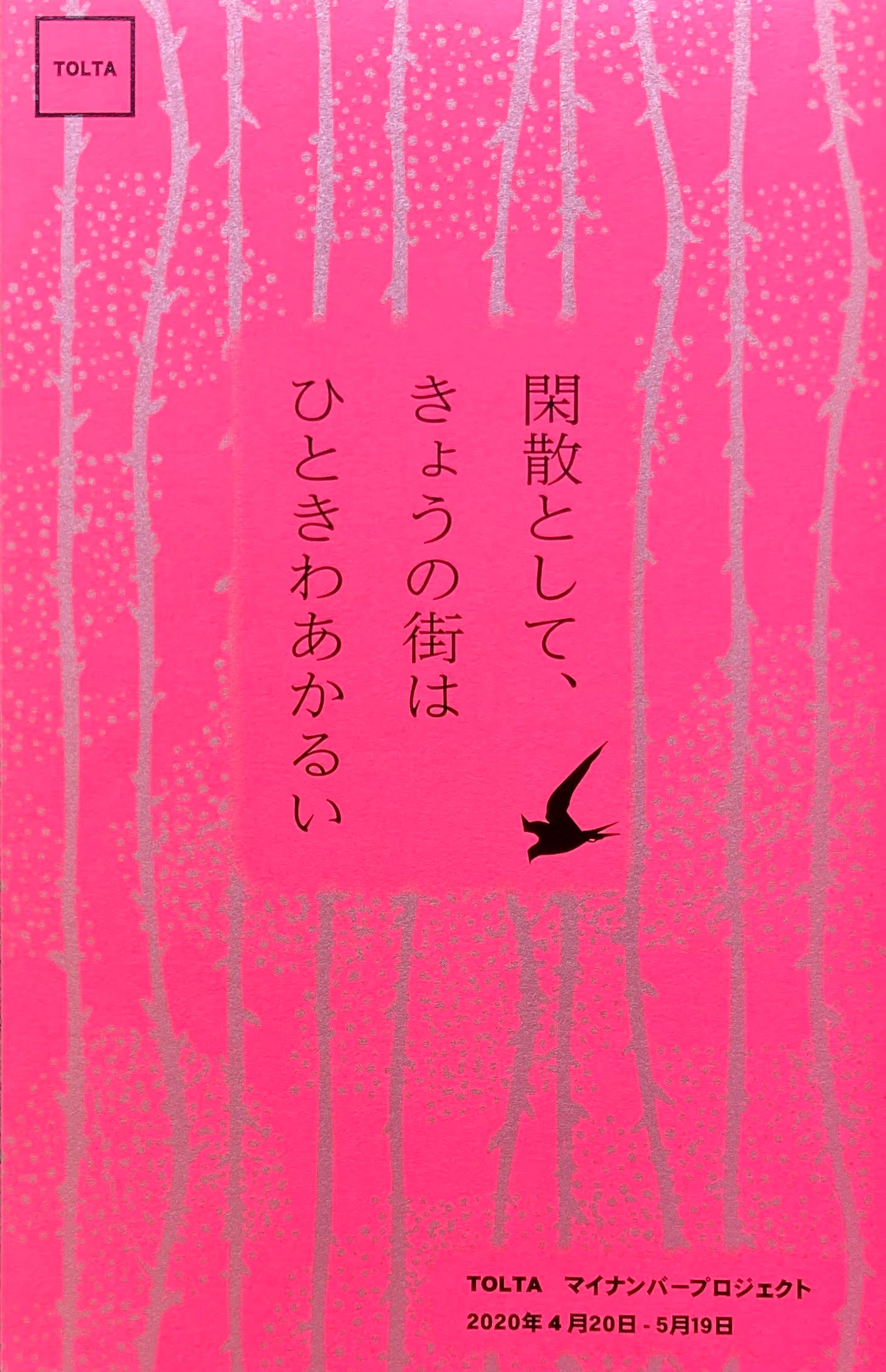 閑散として、きょうの街はひときわあかるい TOLTA