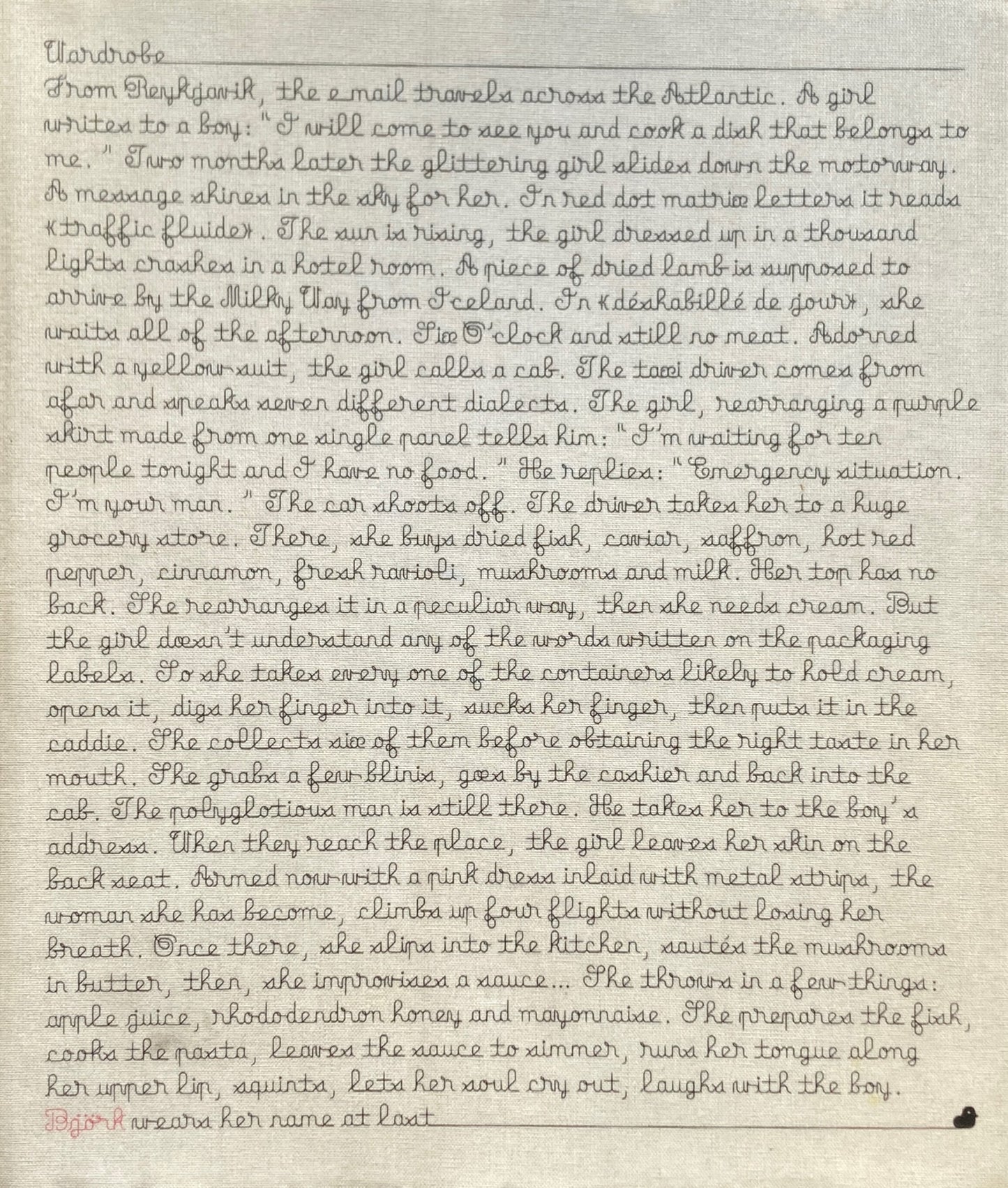 Bjork ビヨーク写真集