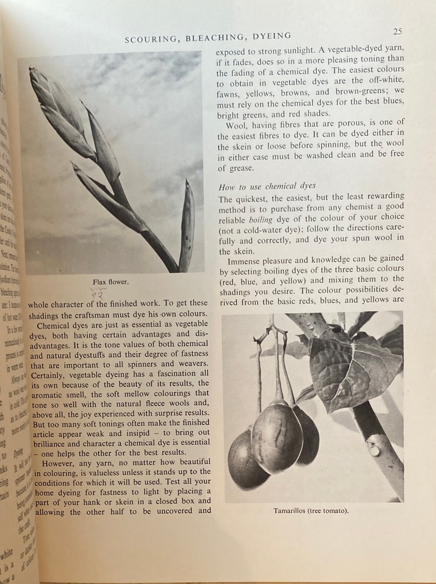 Spin Your Own Wool and Dye it and Weave it Molly Duncan