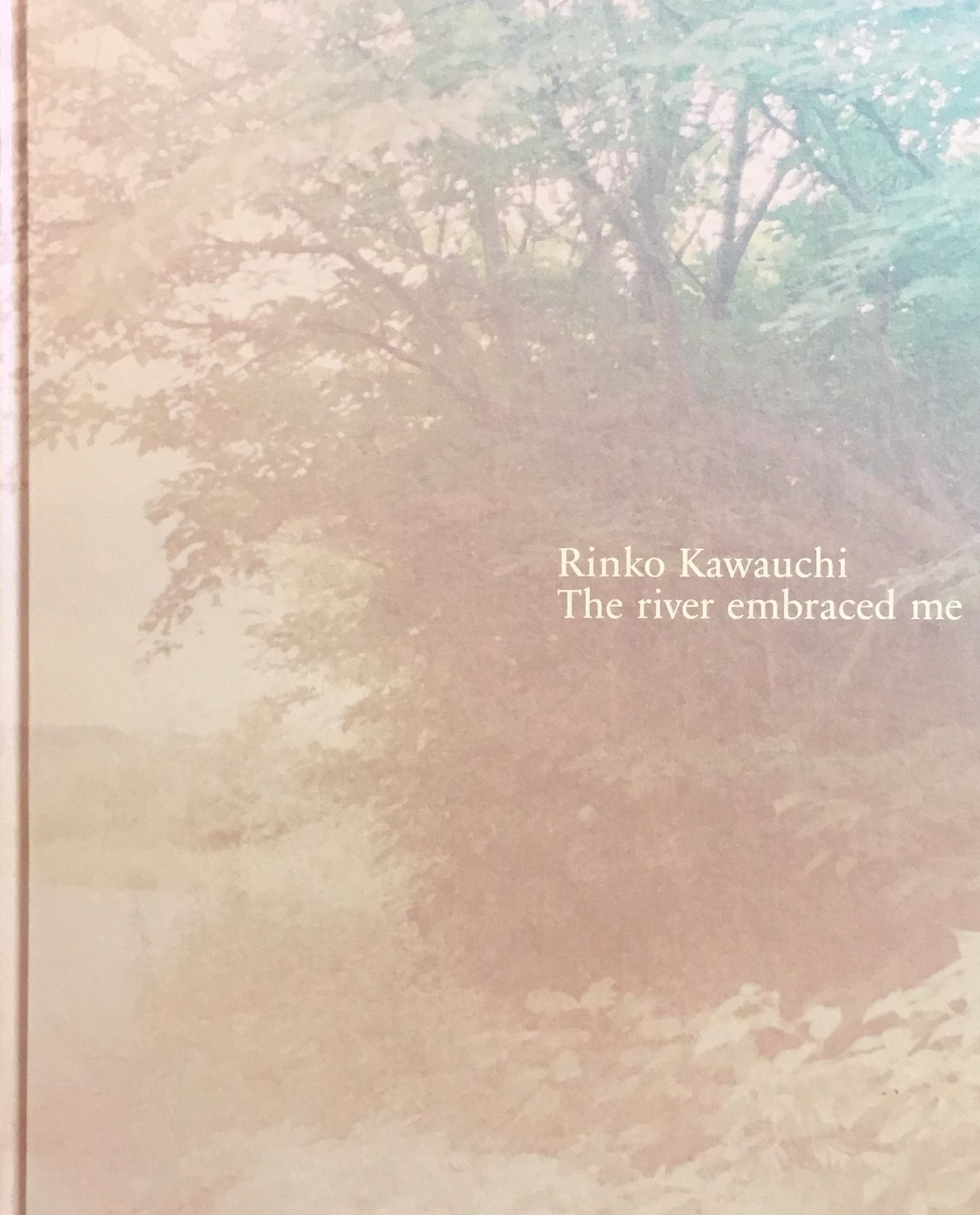 Rinko Kawauchi The river embraced me 川が私を受け入れてくれた 川内倫子写真集