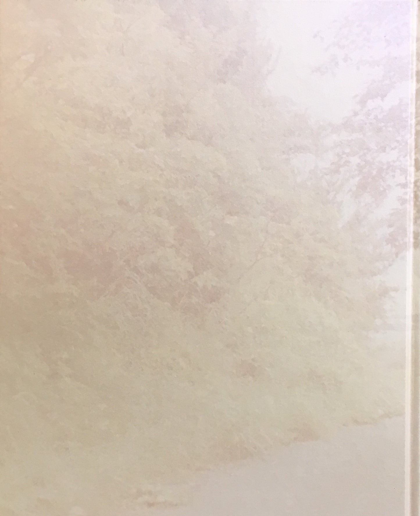 Rinko Kawauchi The river embraced me 川が私を受け入れてくれた 川内倫子写真集
