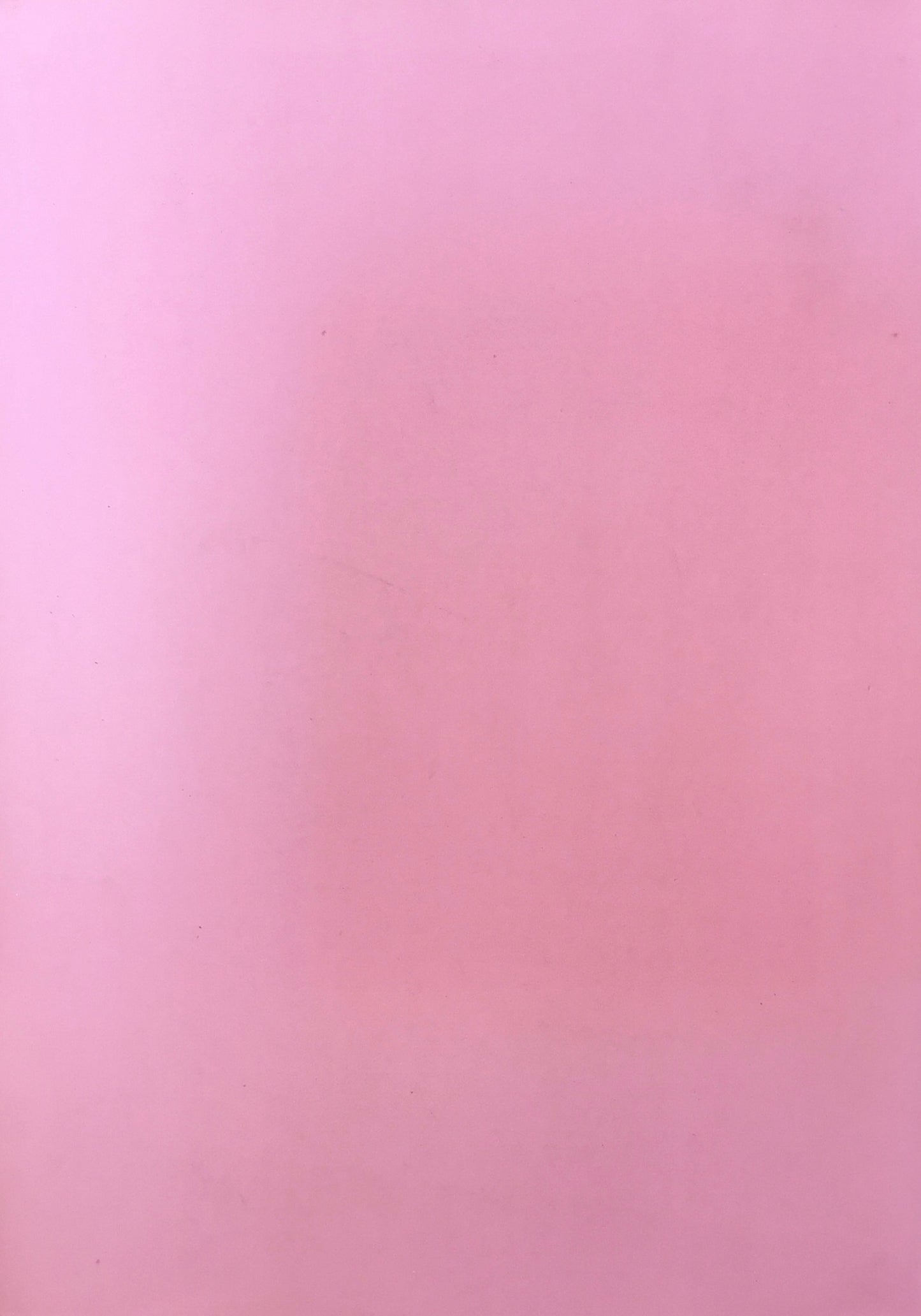 シャルロッテ 愛の自画像