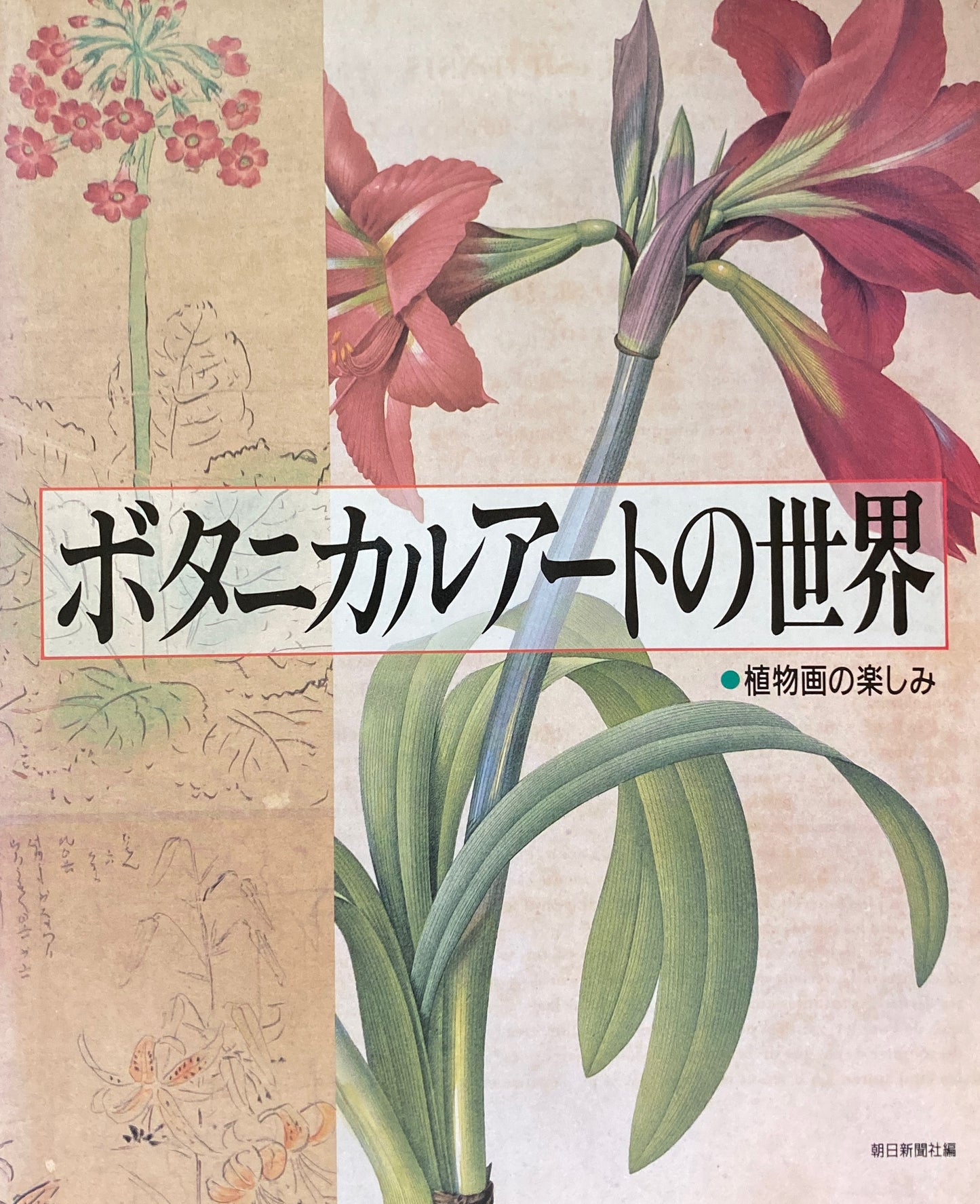 ボタニカルアートの世界 植物画の楽しみ