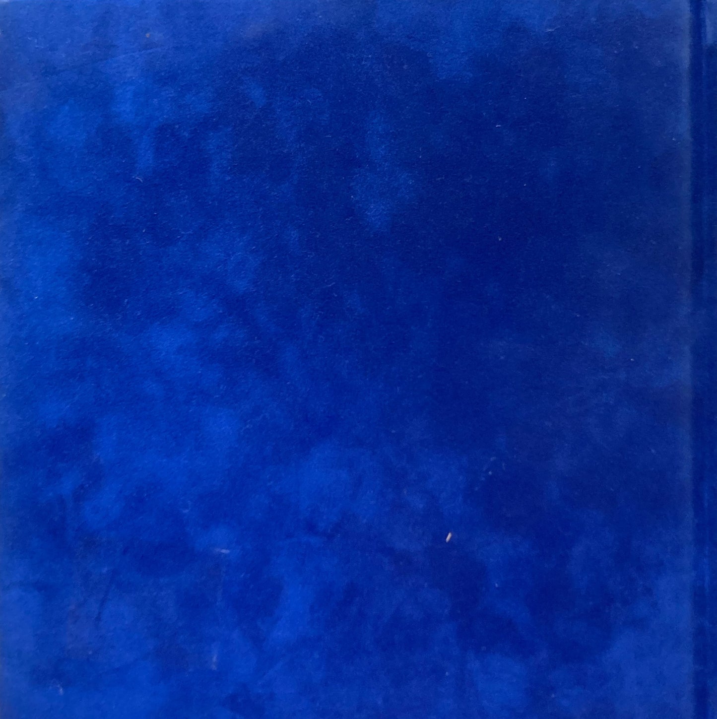 THE HANDBAG to have and to hold CARMEL ALLEN