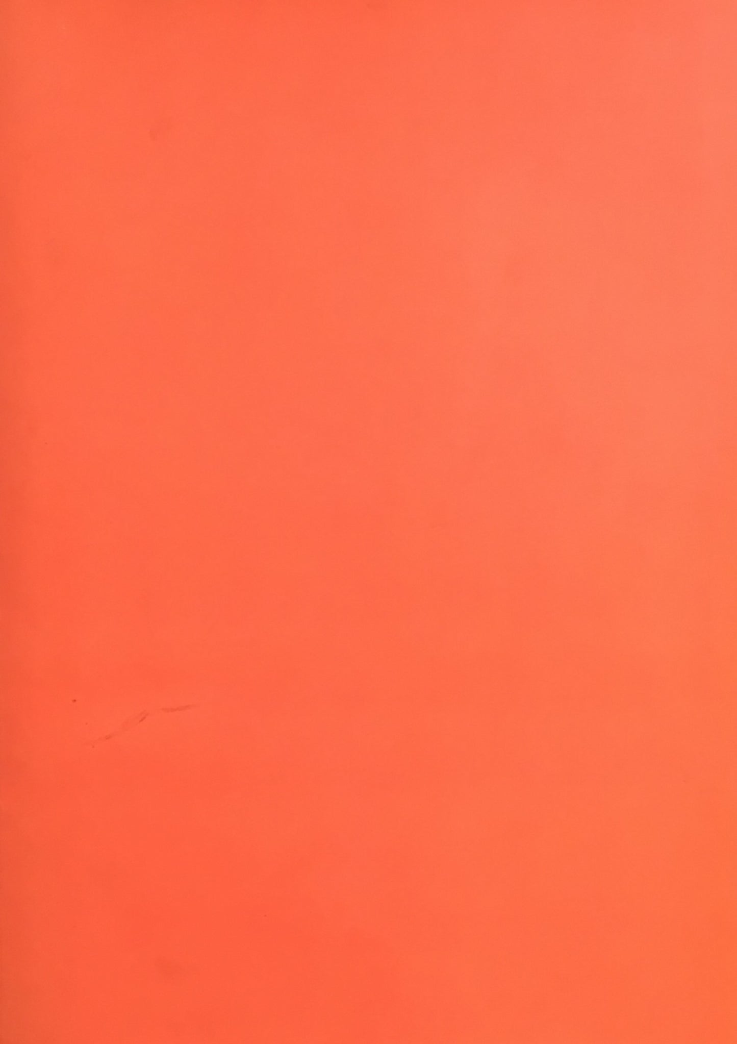 開館十周年記念 棟方志功記念館 収蔵作品図録