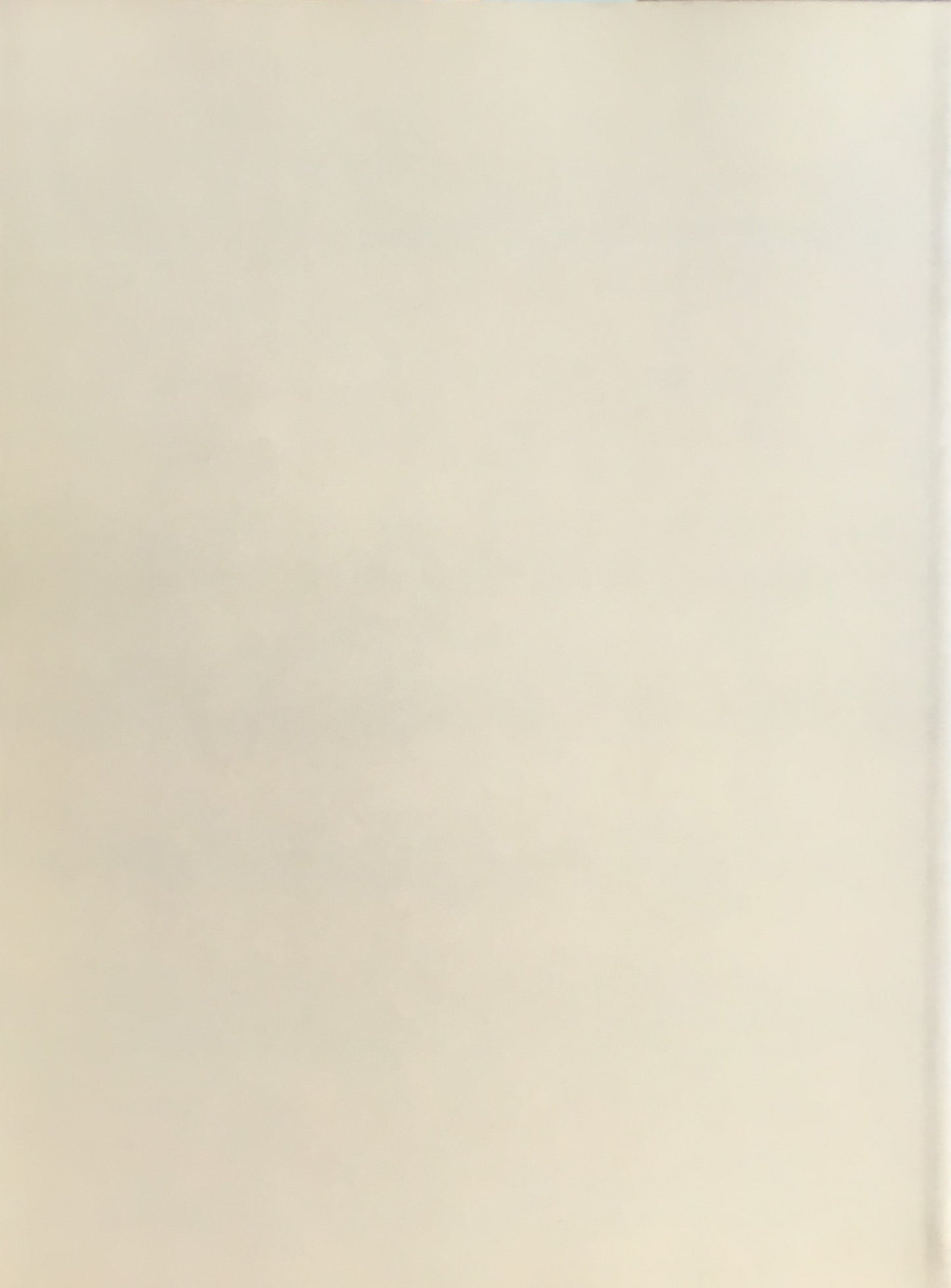 岡鹿之助展 生誕100年記念 1998‐1999