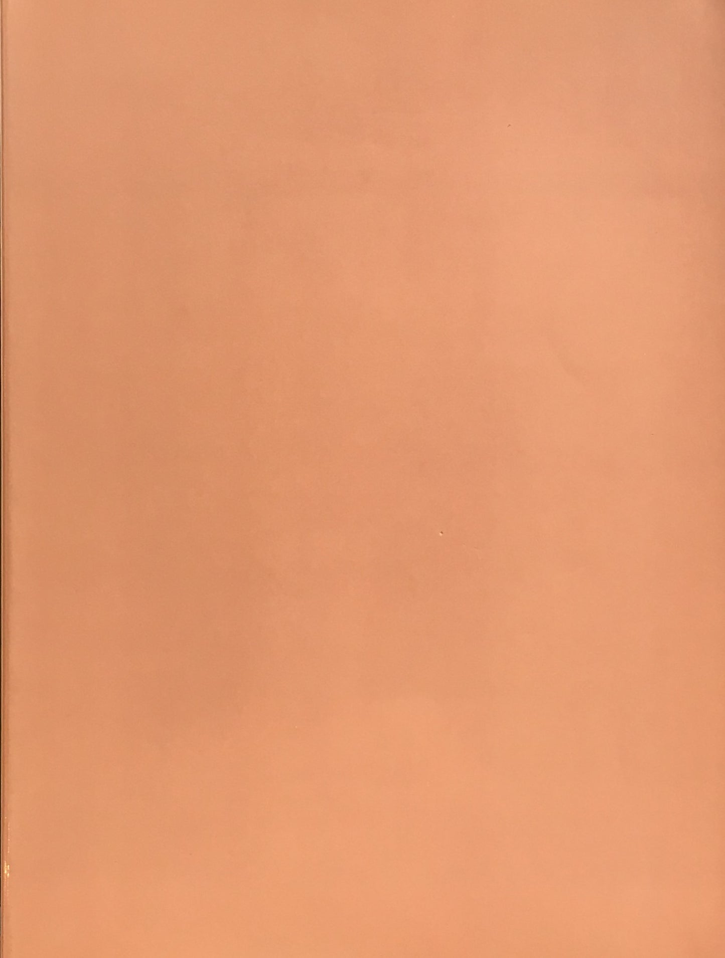 中川一政生涯展 1992