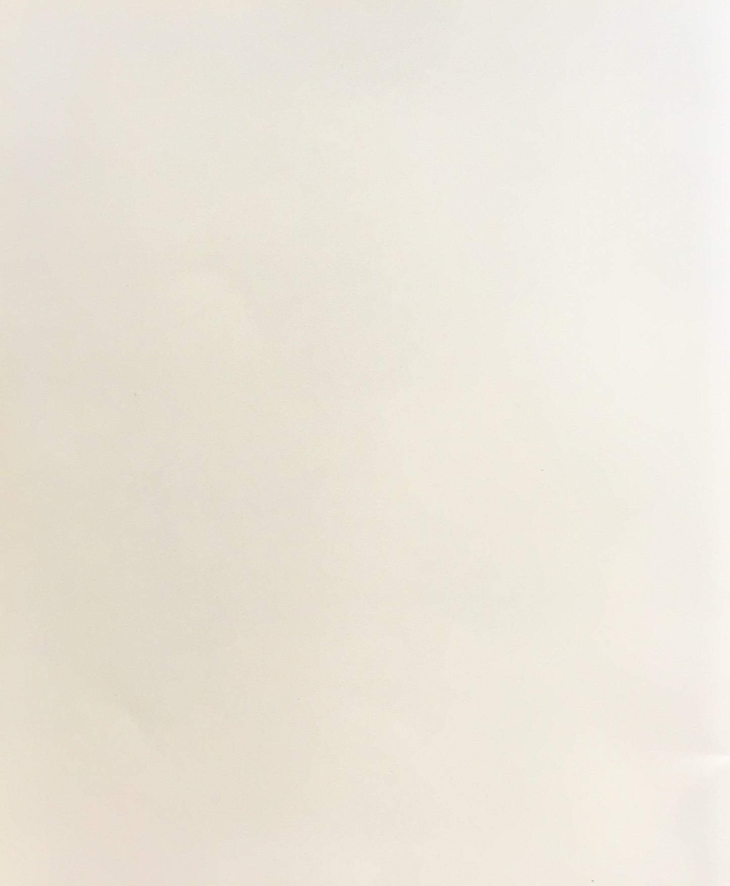 中村彝展 Exhibition of Tsune Nakamura 1995