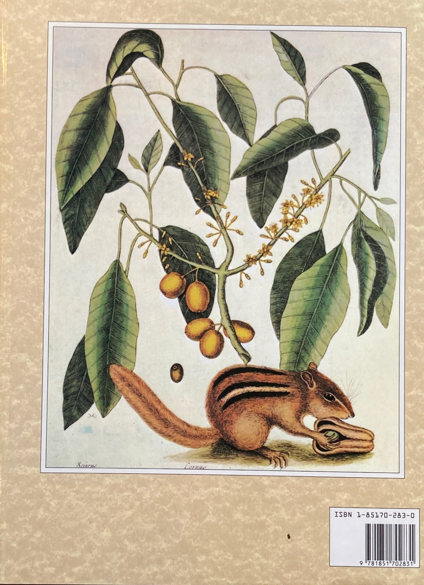 The Art of Natural History S Peter Dance