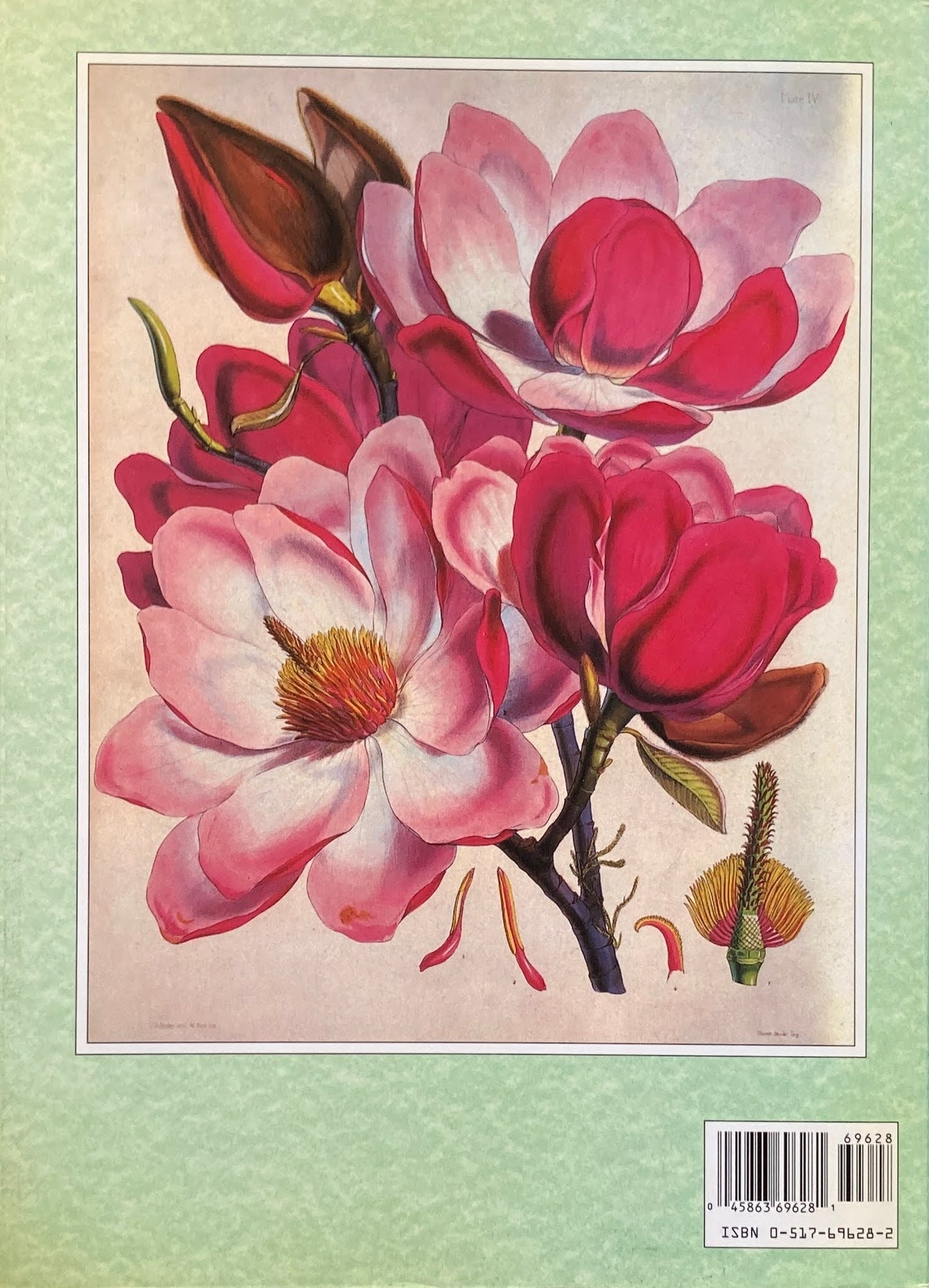 The art of botanical illustration Martyn Rix