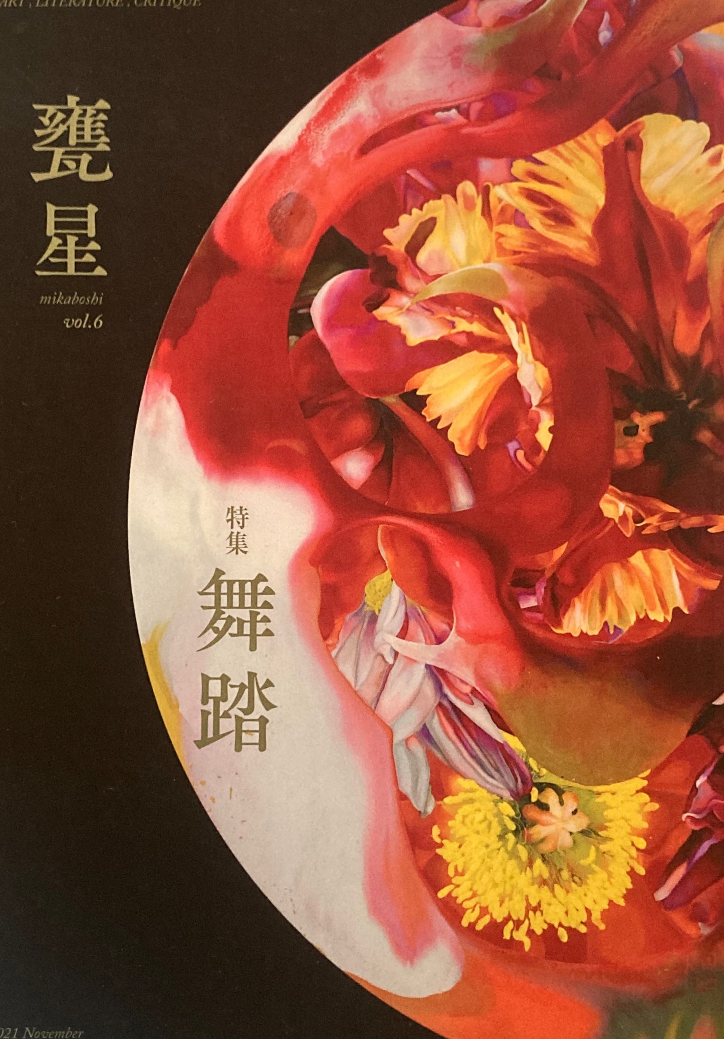 甕星 mikaboshi vol.6 特集 舞踏