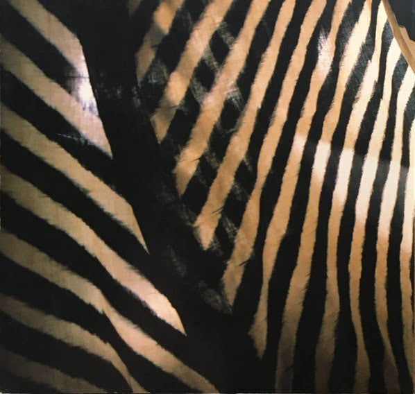 ハート展 HAATH インド手織と三宅一生 1986