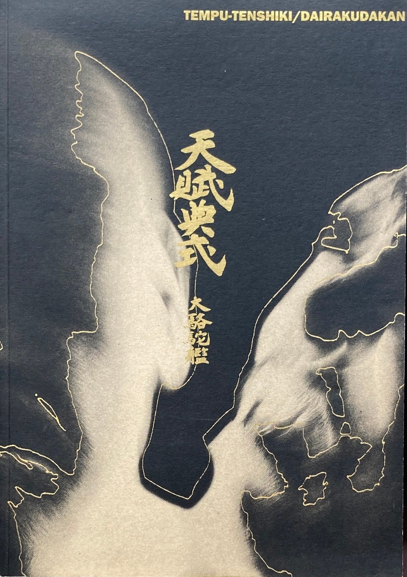 天賦典式 大駱駝艦 TEMPU-TENSHIKI/DAIRAKUDAKAN
