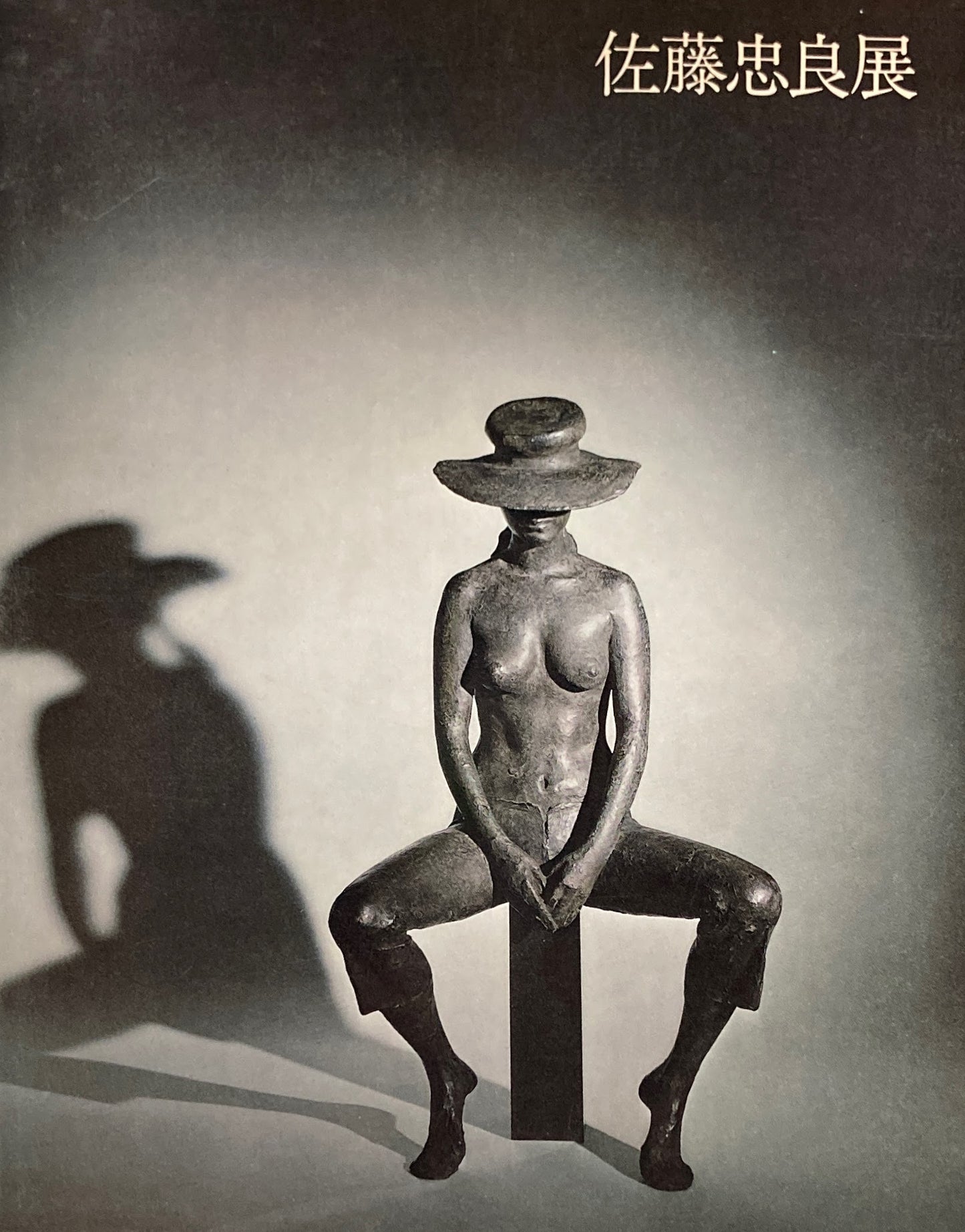 ブロンズの詩 佐藤忠良展