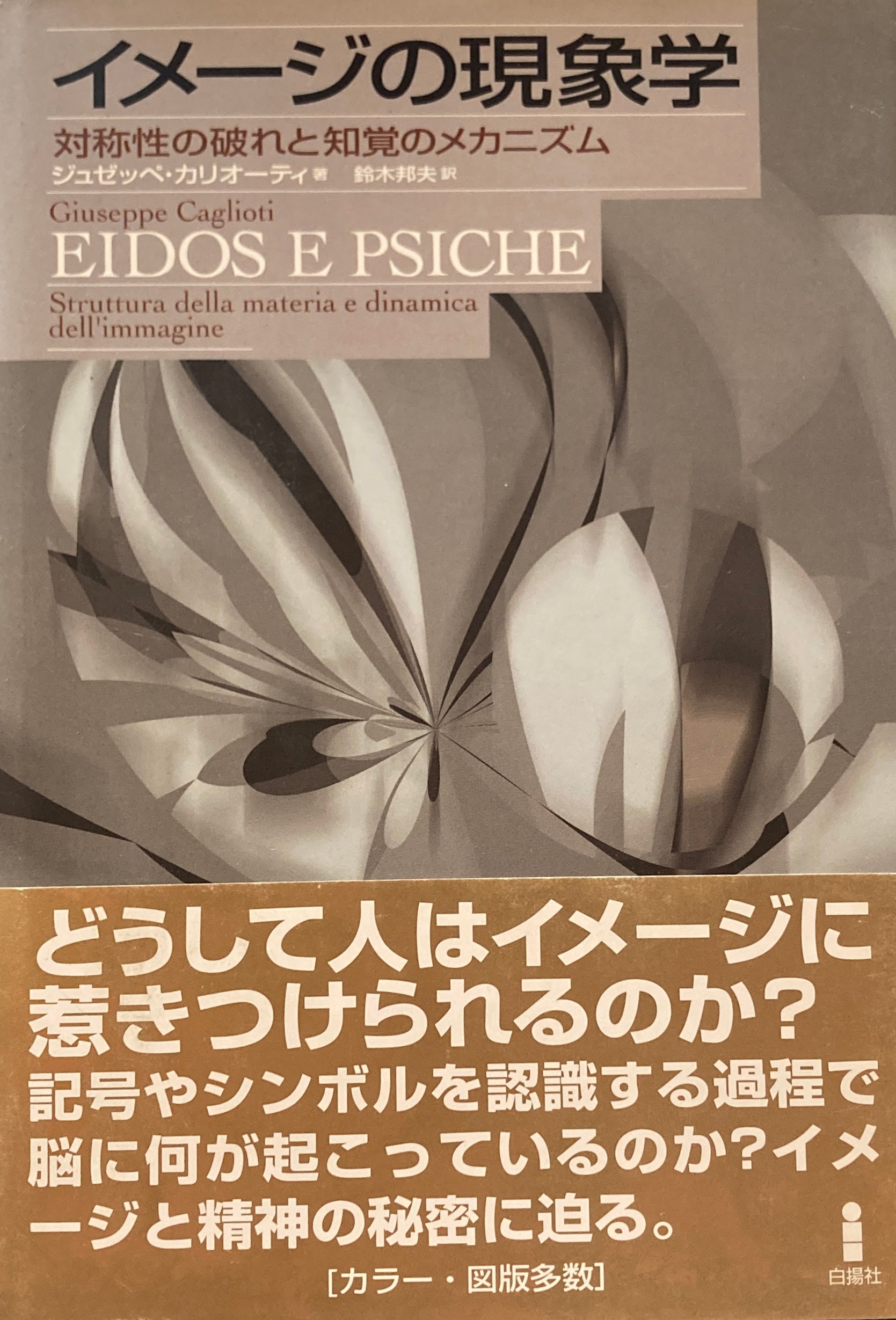 イメージの現象学 対称性の破れと知覚のメカニズム ジュゼッペ・カリオーティ