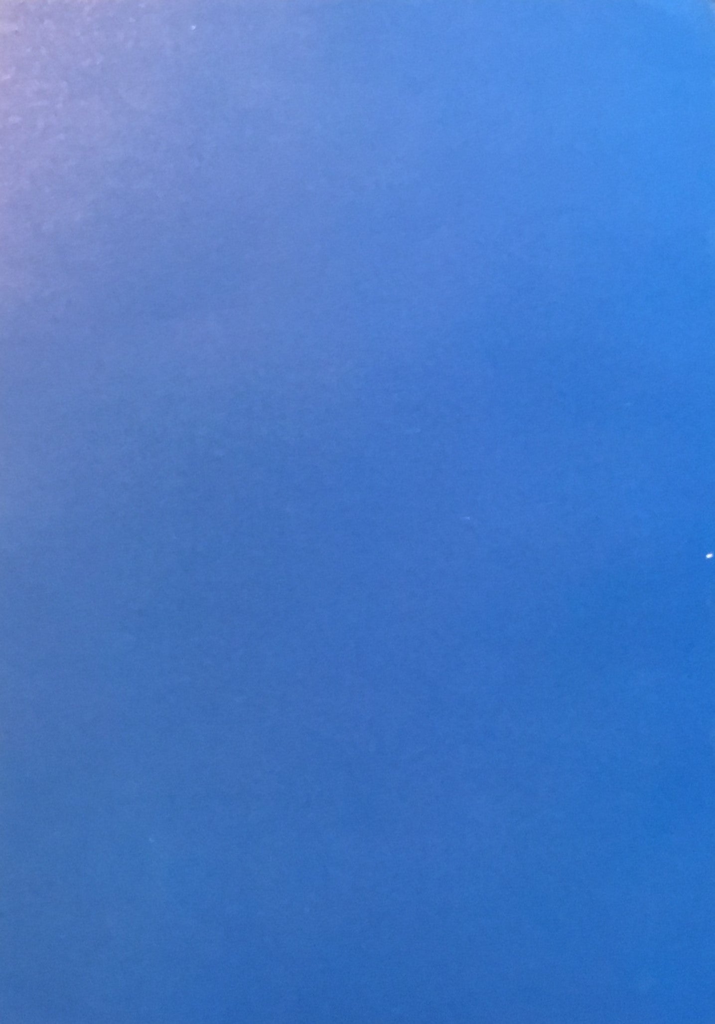 ダムタイプ pHases