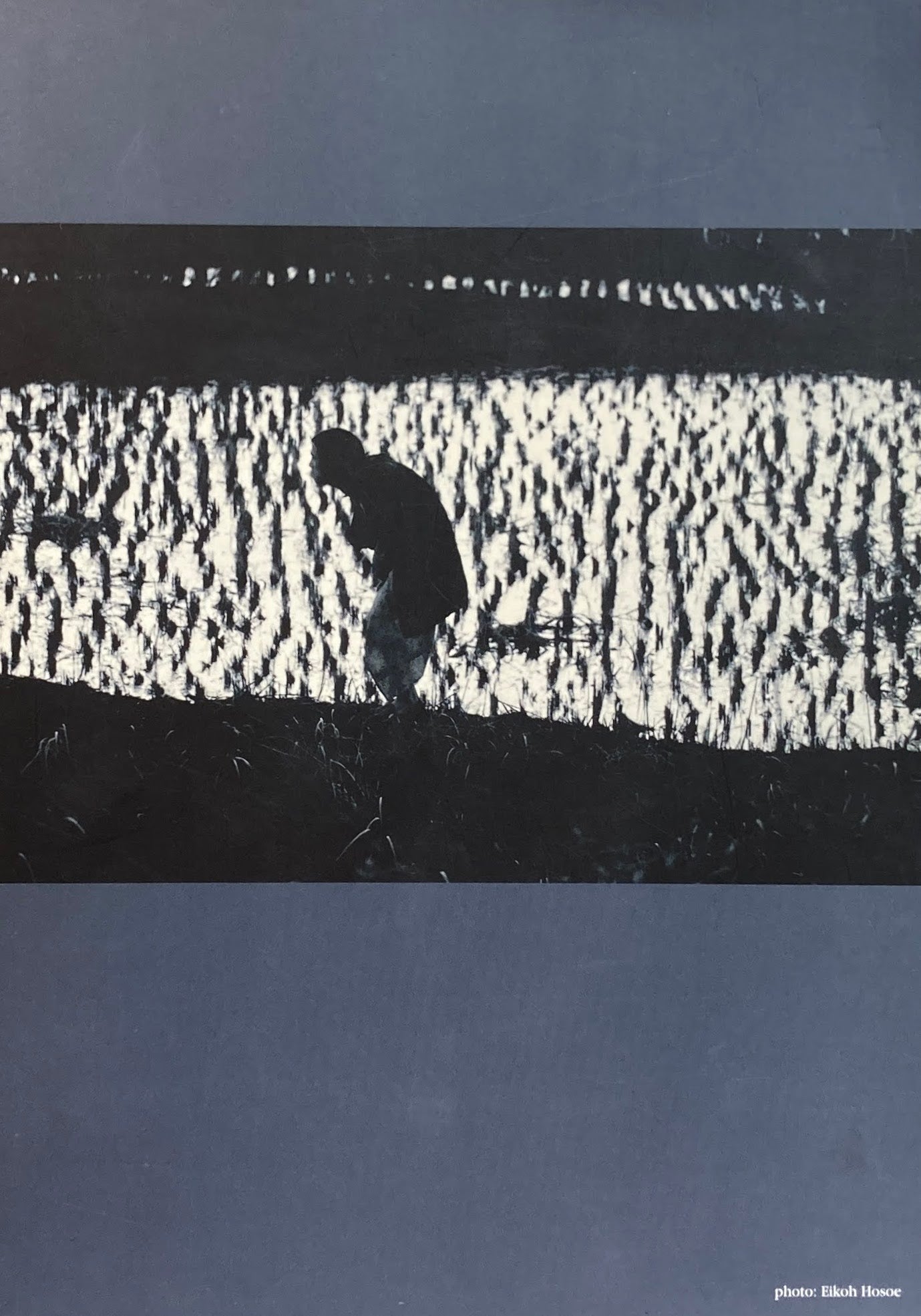 土方巽の舞踏 肉体のシュルレアリスム 身体のオントロジー