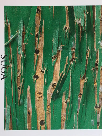 KISHIO SUGA (2015) by Kishio Suga