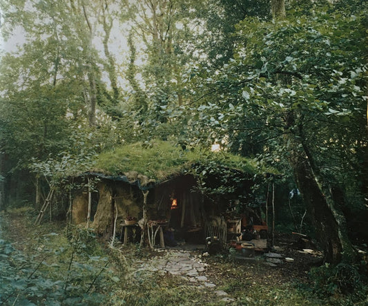 SETTLEMENTS David Spero