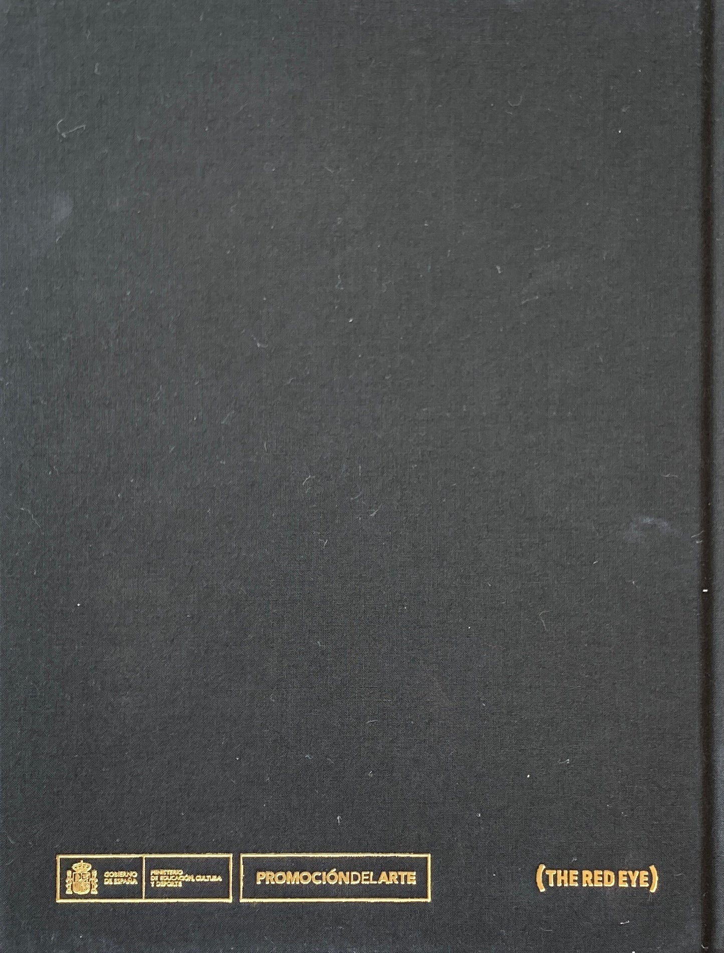 ISABEL MUNOZ THE ANTHROPOLOGY OF FEELINGS イザベラ・ムニョス