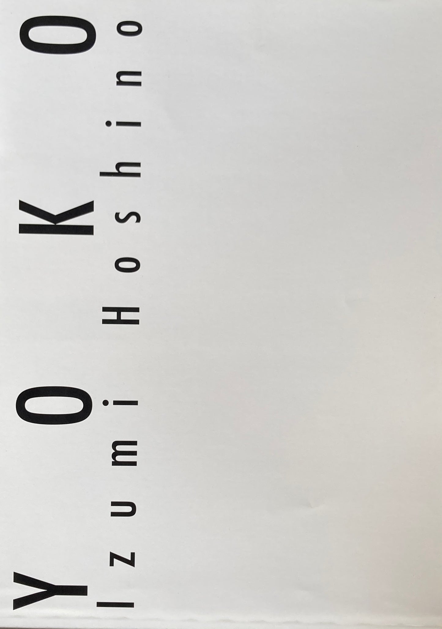 Hoshino Izumi YOKO TATE 2冊セット