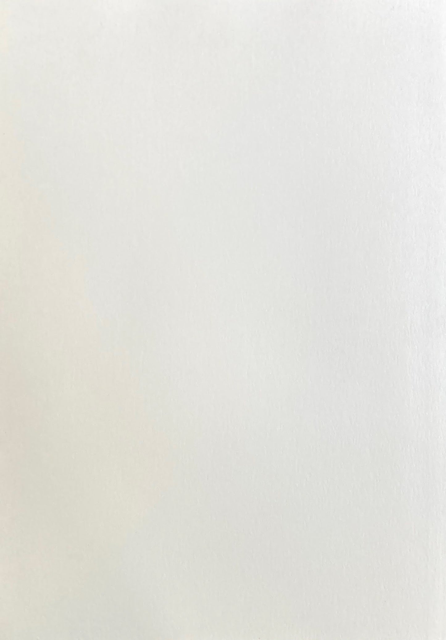 TELOMERIC OHJI Naoki 王子直紀写真集