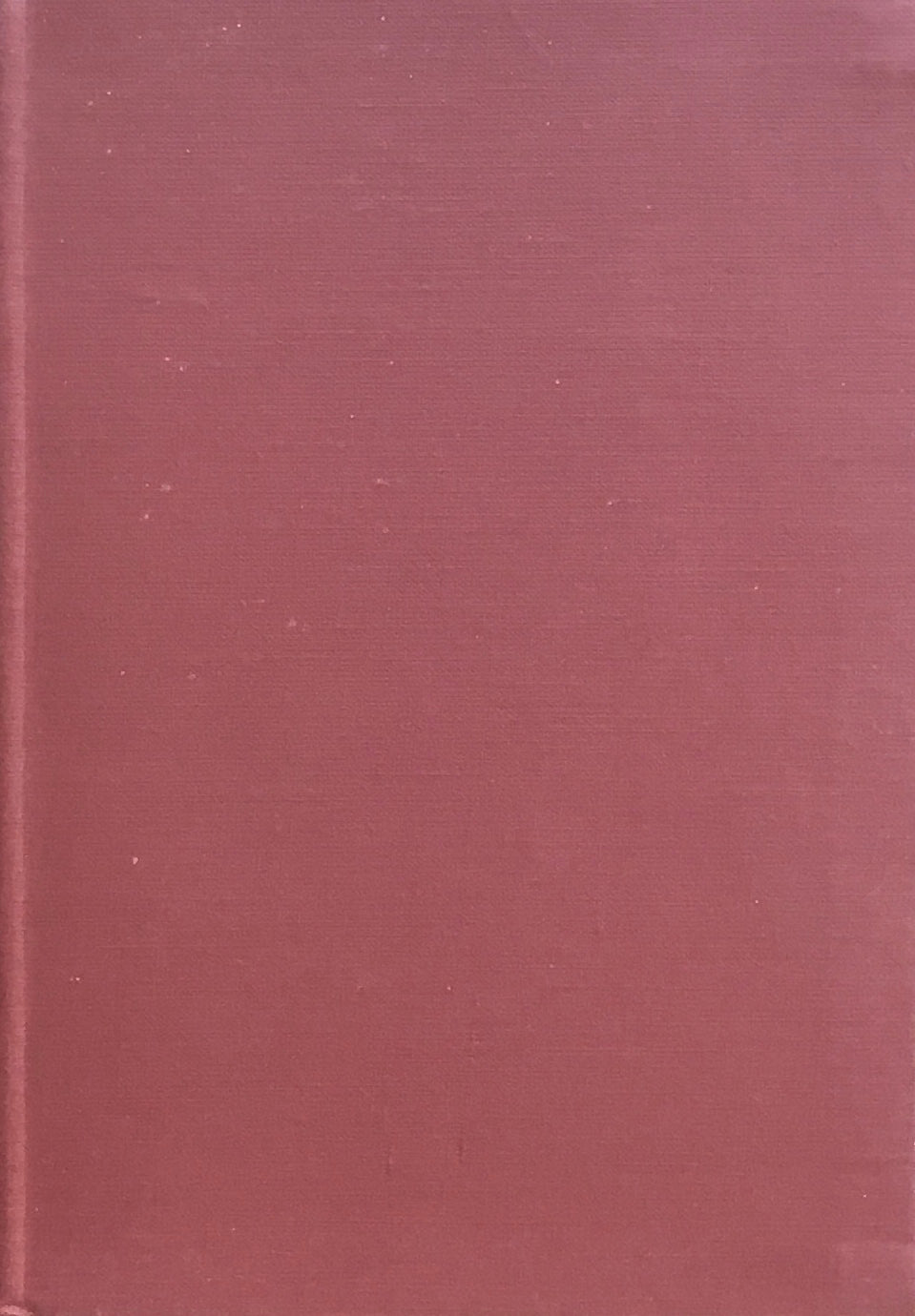 随筆 澁柿の味 廣瀬精一