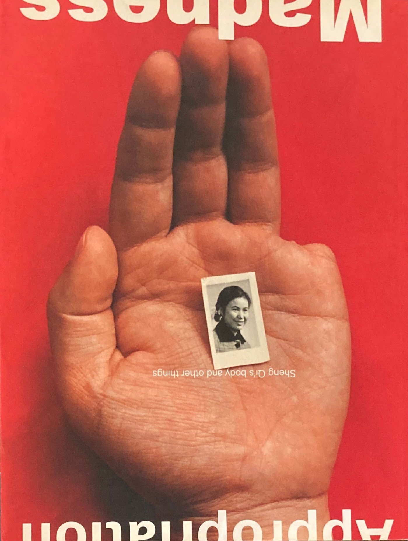 Madness Appropriation Sheng Qi's Body and Other Things