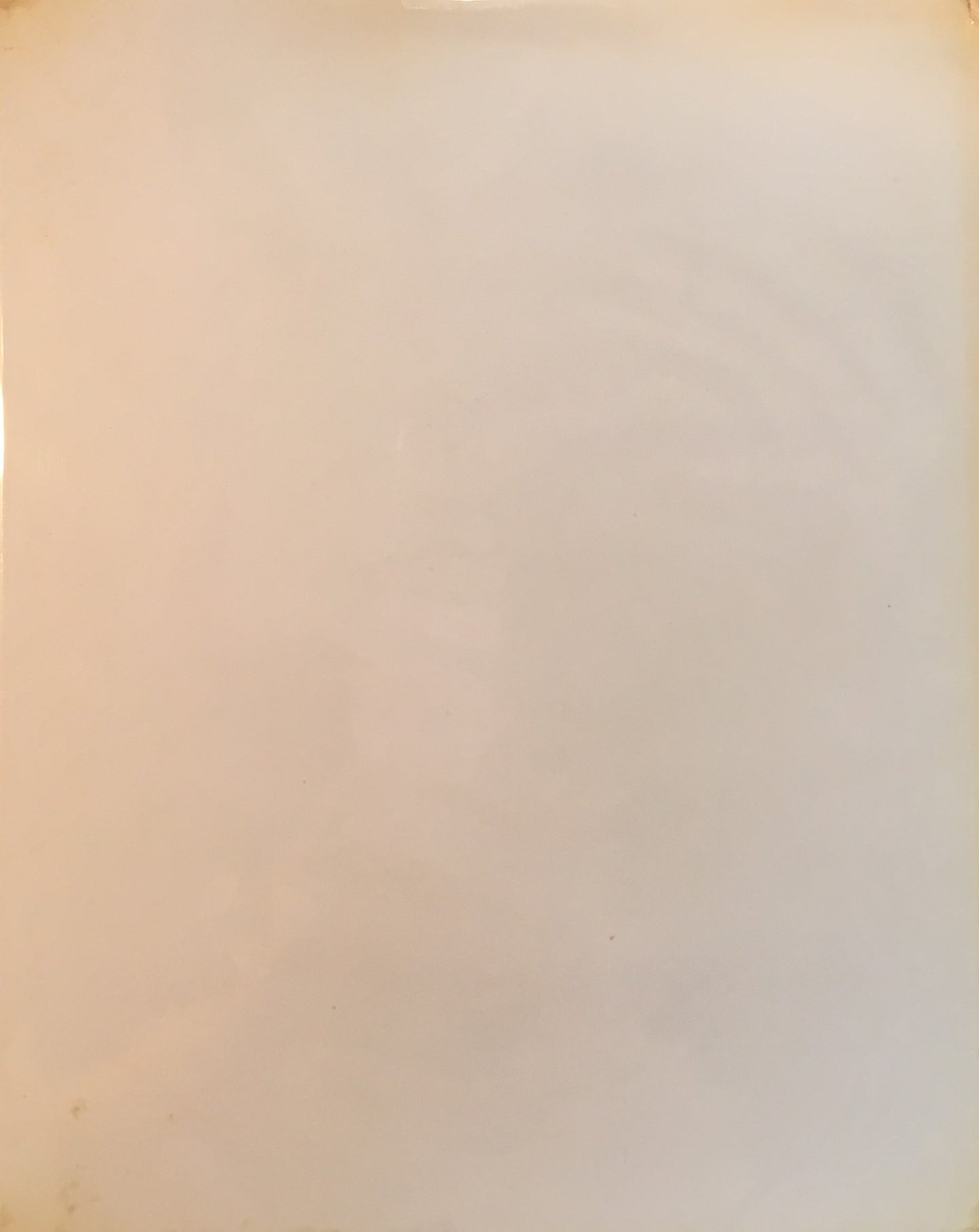 NICOLAS SCHOFFER ニコラス・シェフェール La sculpture de ce siècle Nicolas Schöffer