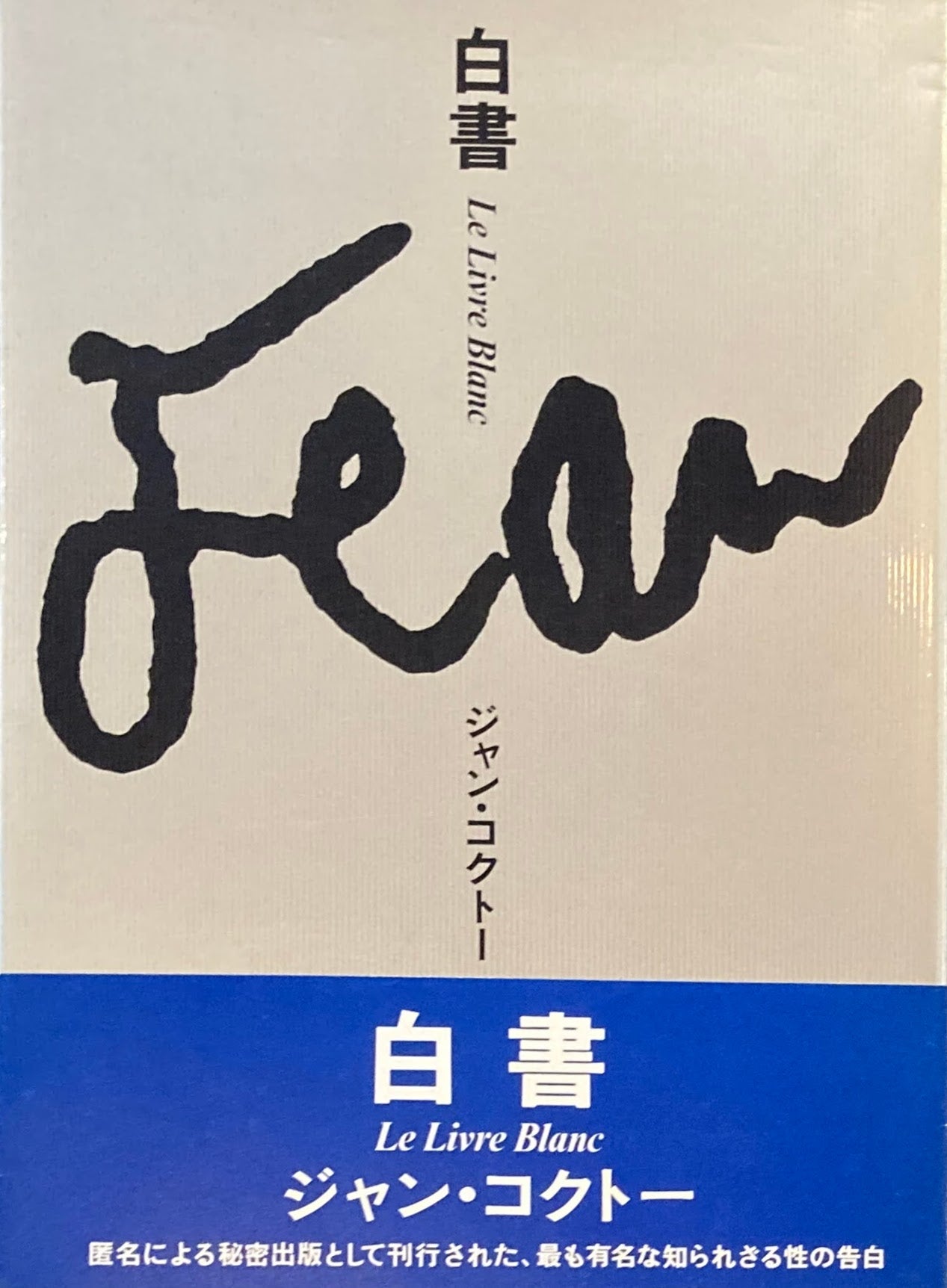 白書 ジャン・コクトー 山上昌子