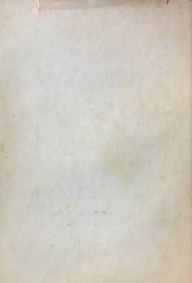 BEADY MINCES David Bailey デヴィッド・ベイリー