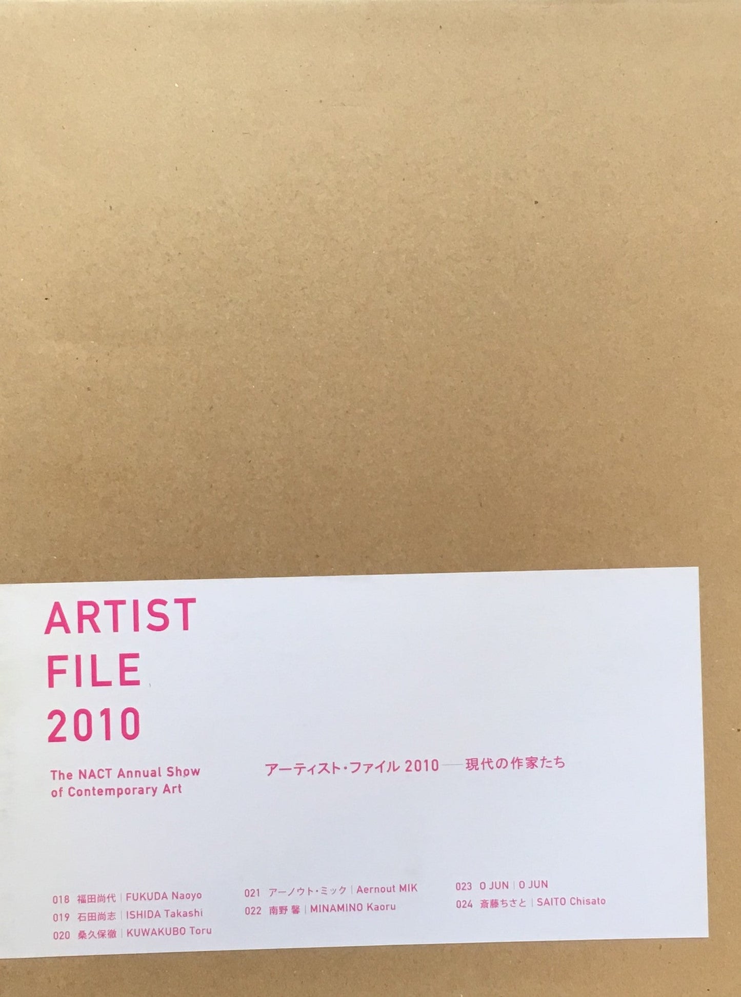 アーティスト・ファイル2010 現代の作家たち