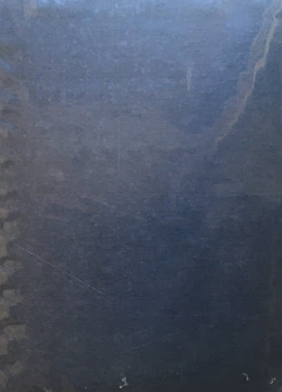 Egon Schiele Aquarelle und Zeichnungen エゴン・シーレ 水彩画とデッサン