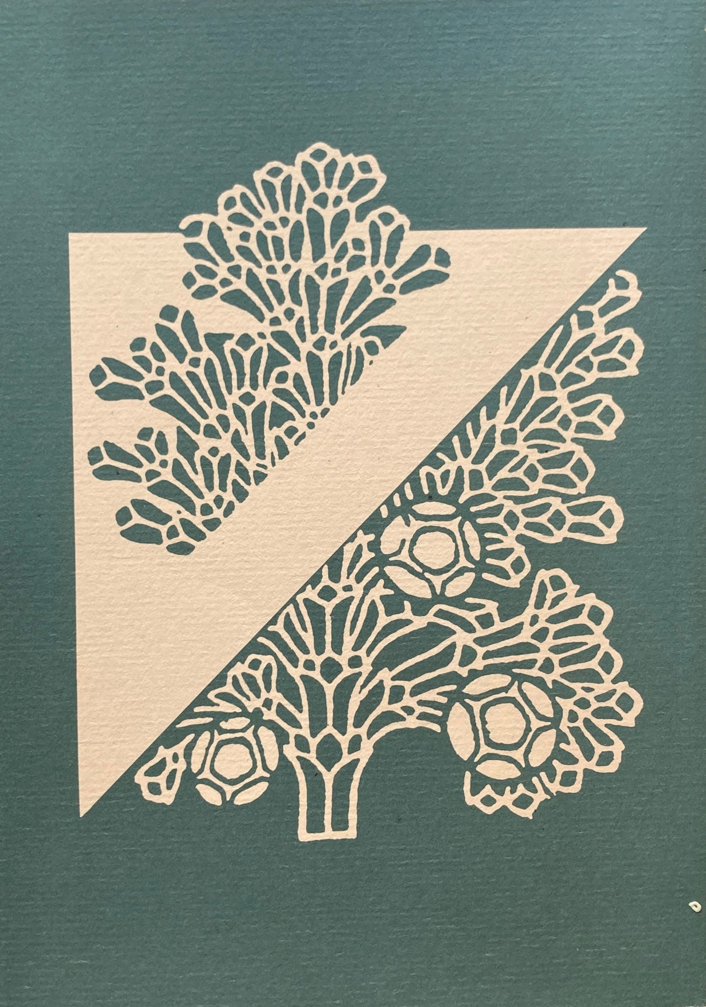 情念の幾何学 形象の作家中村順平の生涯 綱戸武夫