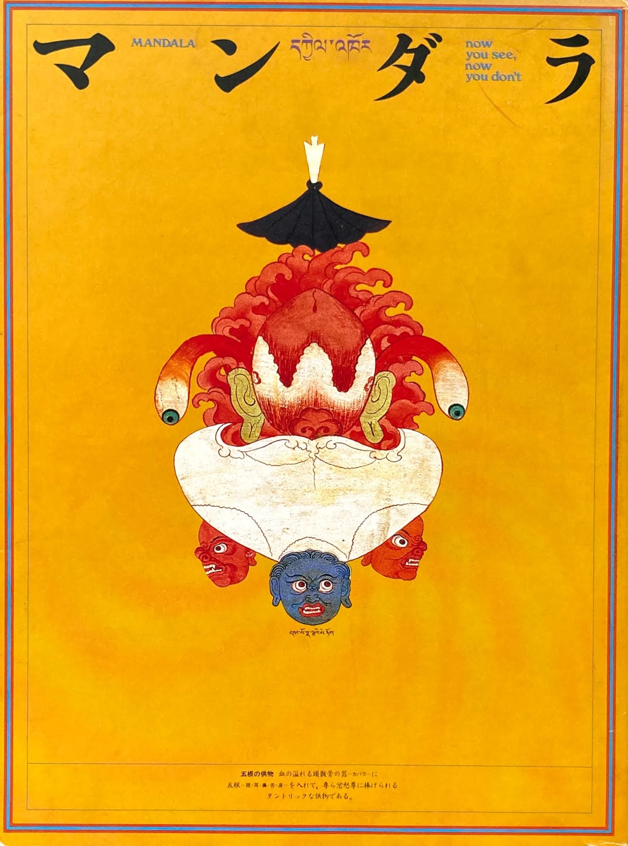 マンダラ 出現と消滅 西チベット仏教壁画の宇宙