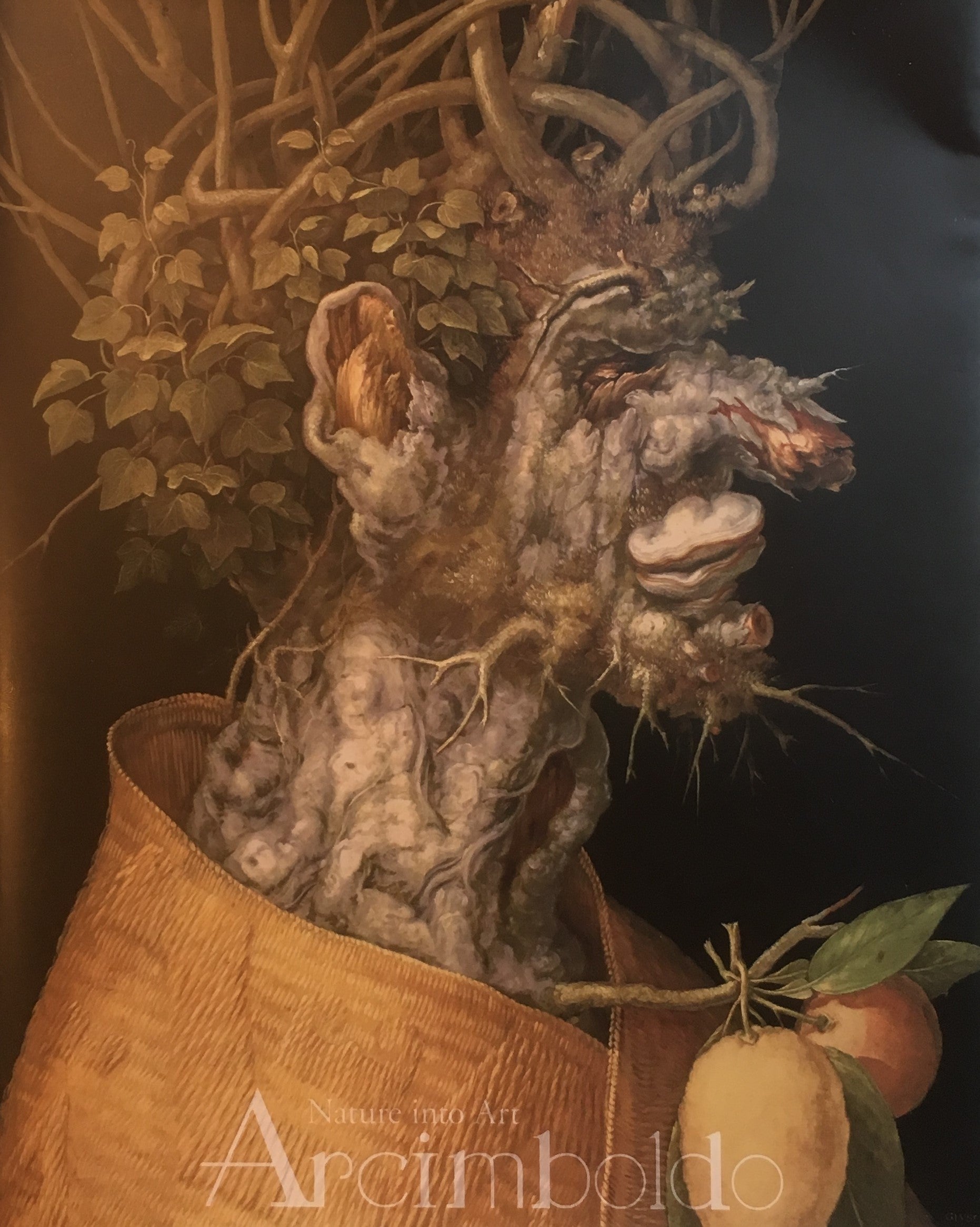 アルチンボルド展 Arcimboldo Nature into Art