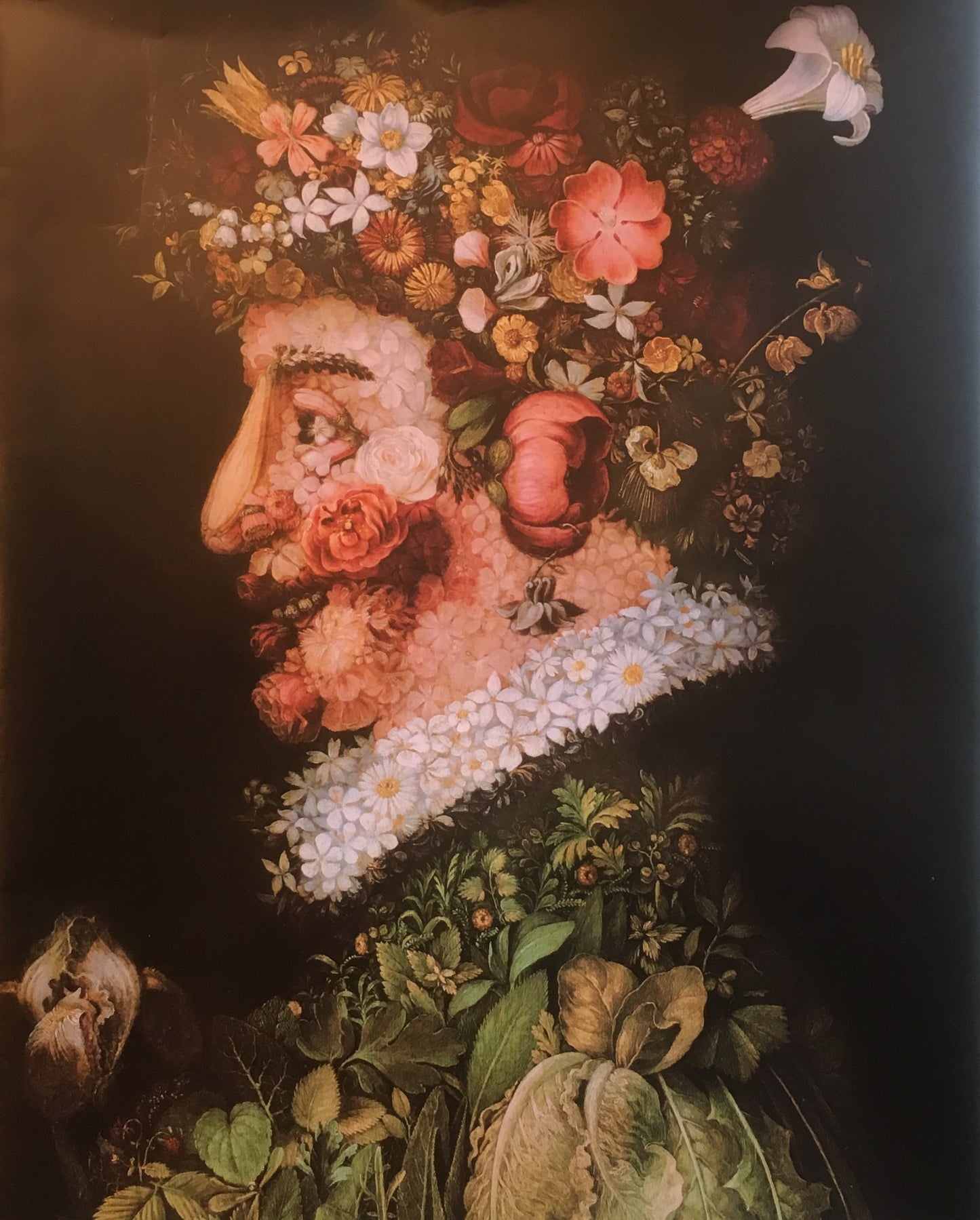 アルチンボルド展 Arcimboldo Nature into Art