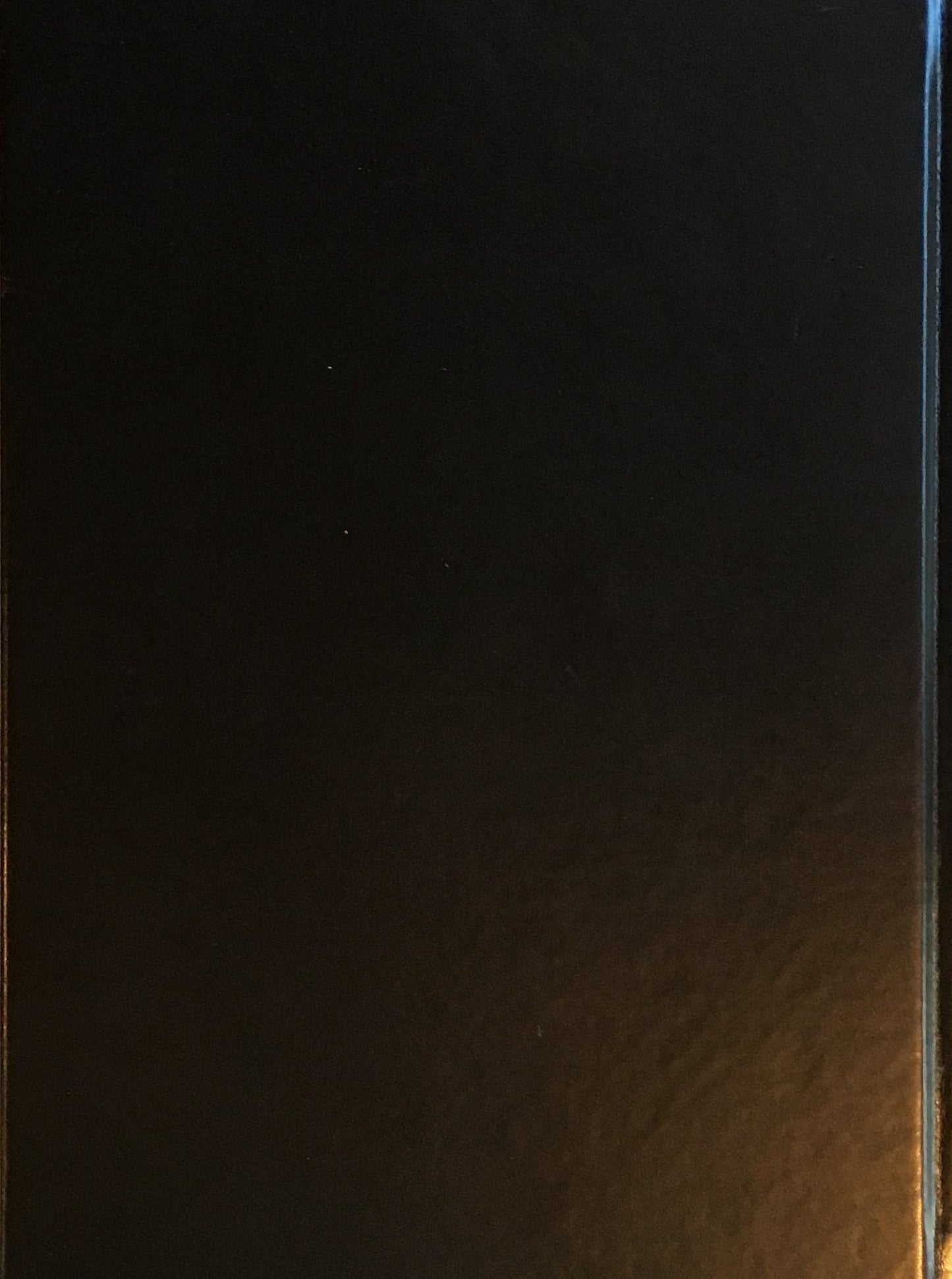 CHEN FEI チェン・フェイ