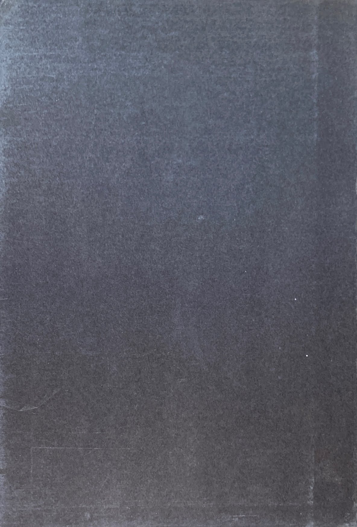 イタリアの美術 A・ブラント SD選書27