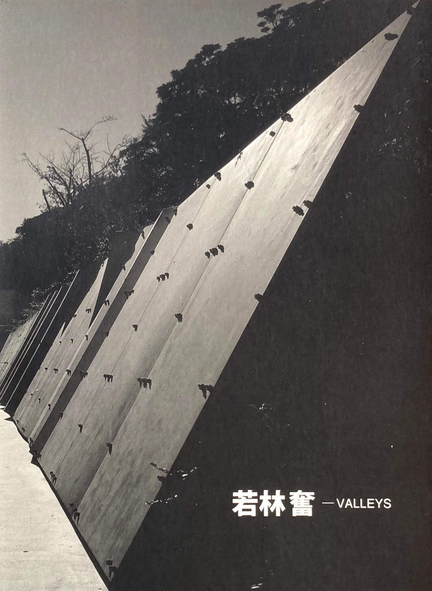 VALLEYS 若林奮 2008