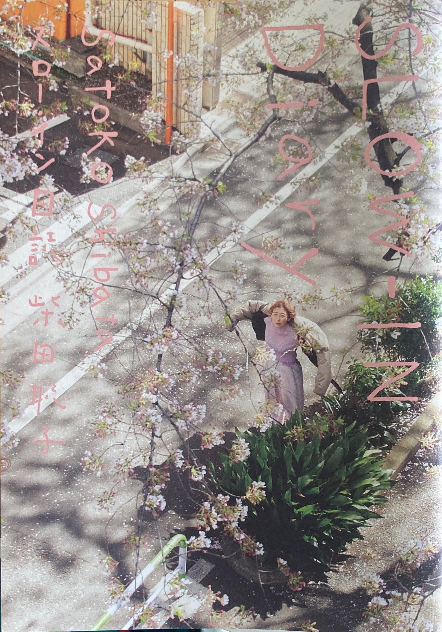 スローイン日誌 柴田聡子