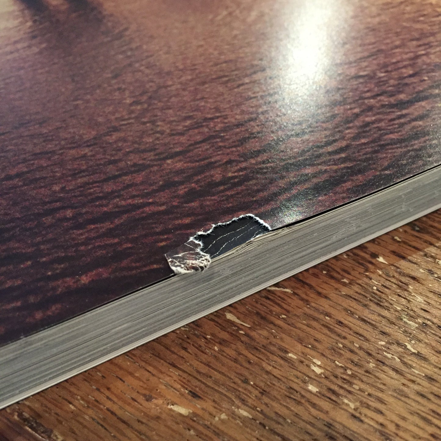 RIO DE JANEIRO Mario Testino マリオ・テスティーノ写真集