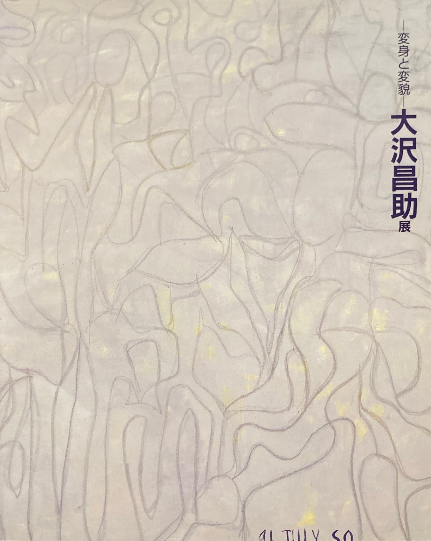 変身と変貌 大沢昌助展