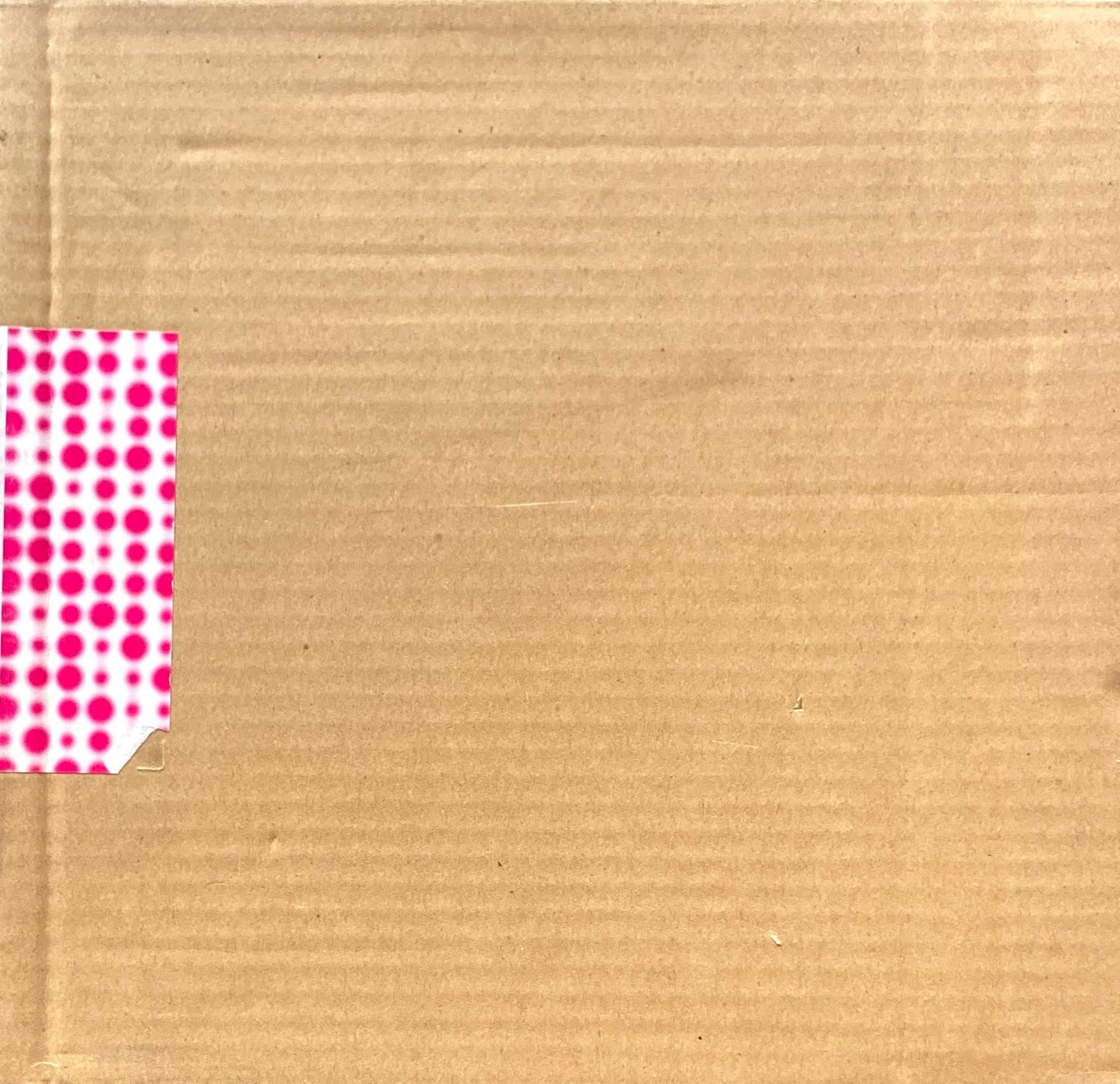 printing + design 特殊印刷と加工の本