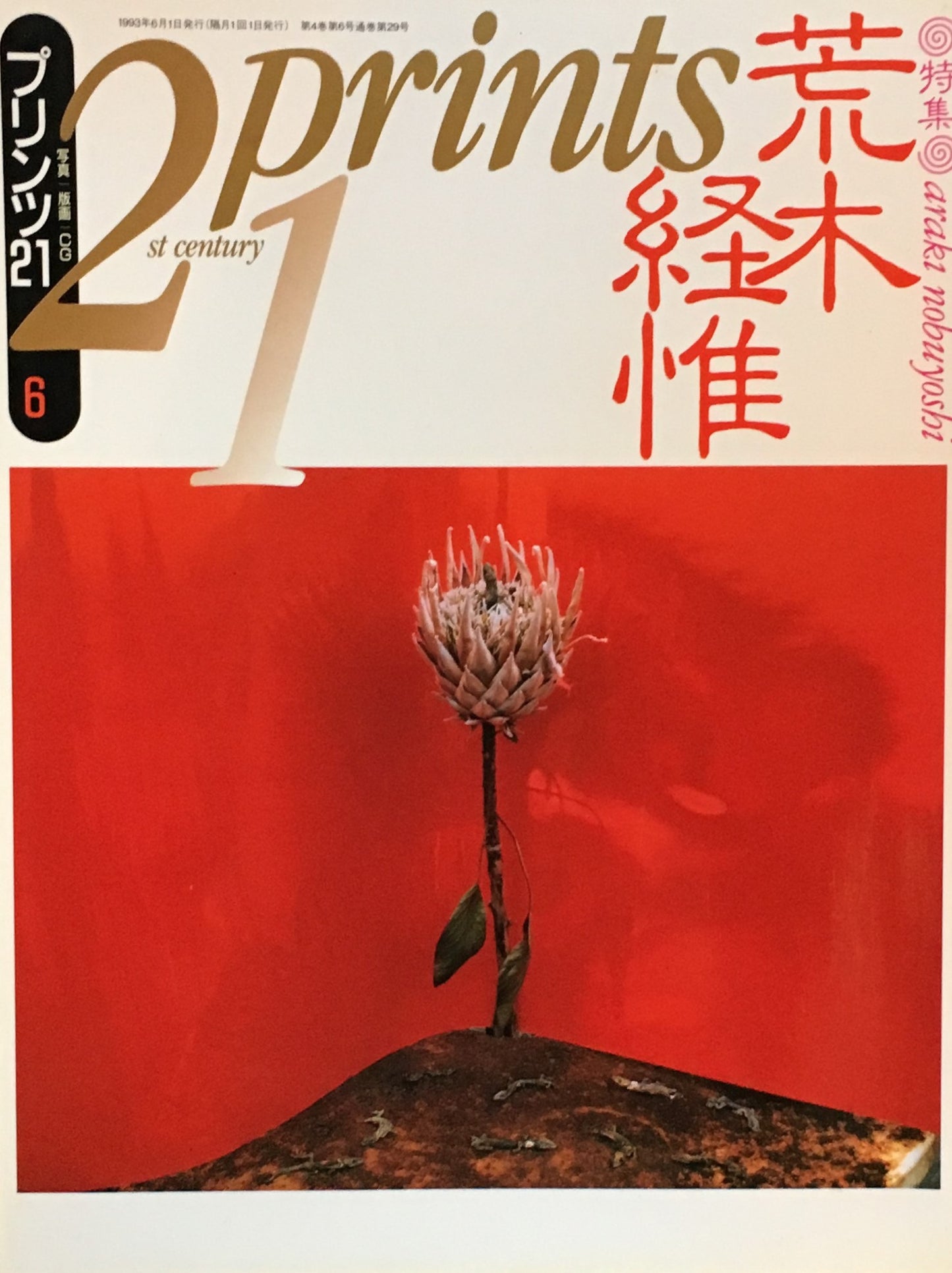 プリンツ21 写真版画CG 1993年6月号 荒木経惟
