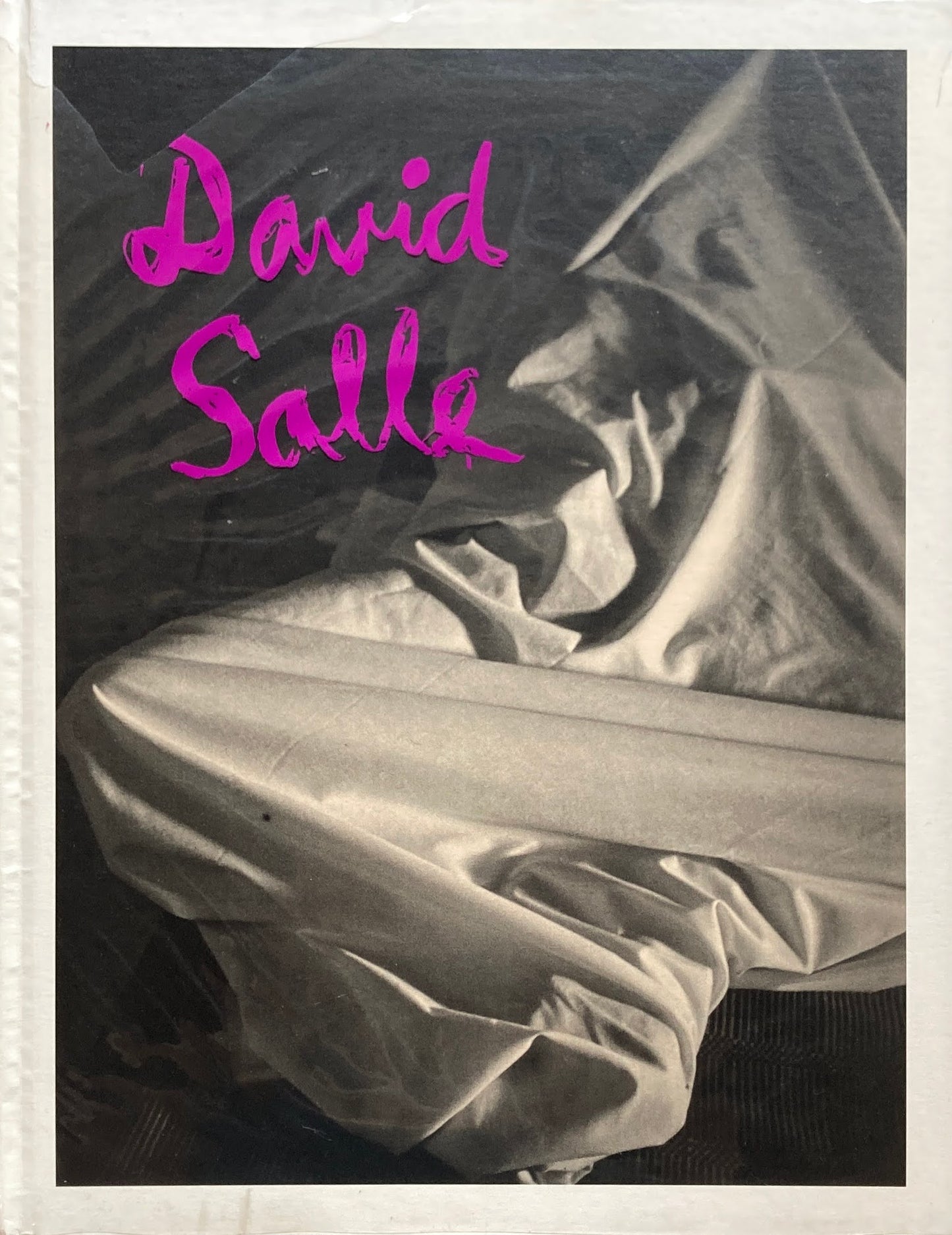 David Salle Photographs 1980-1990 デイヴィッド・サーレ写真集