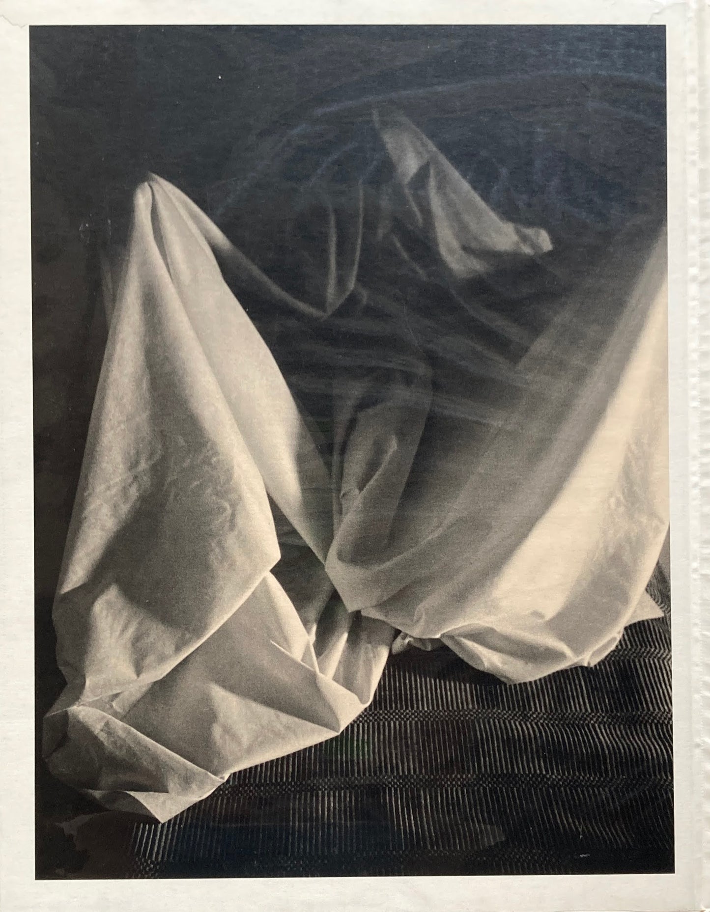 David Salle Photographs 1980-1990 デイヴィッド・サーレ写真集